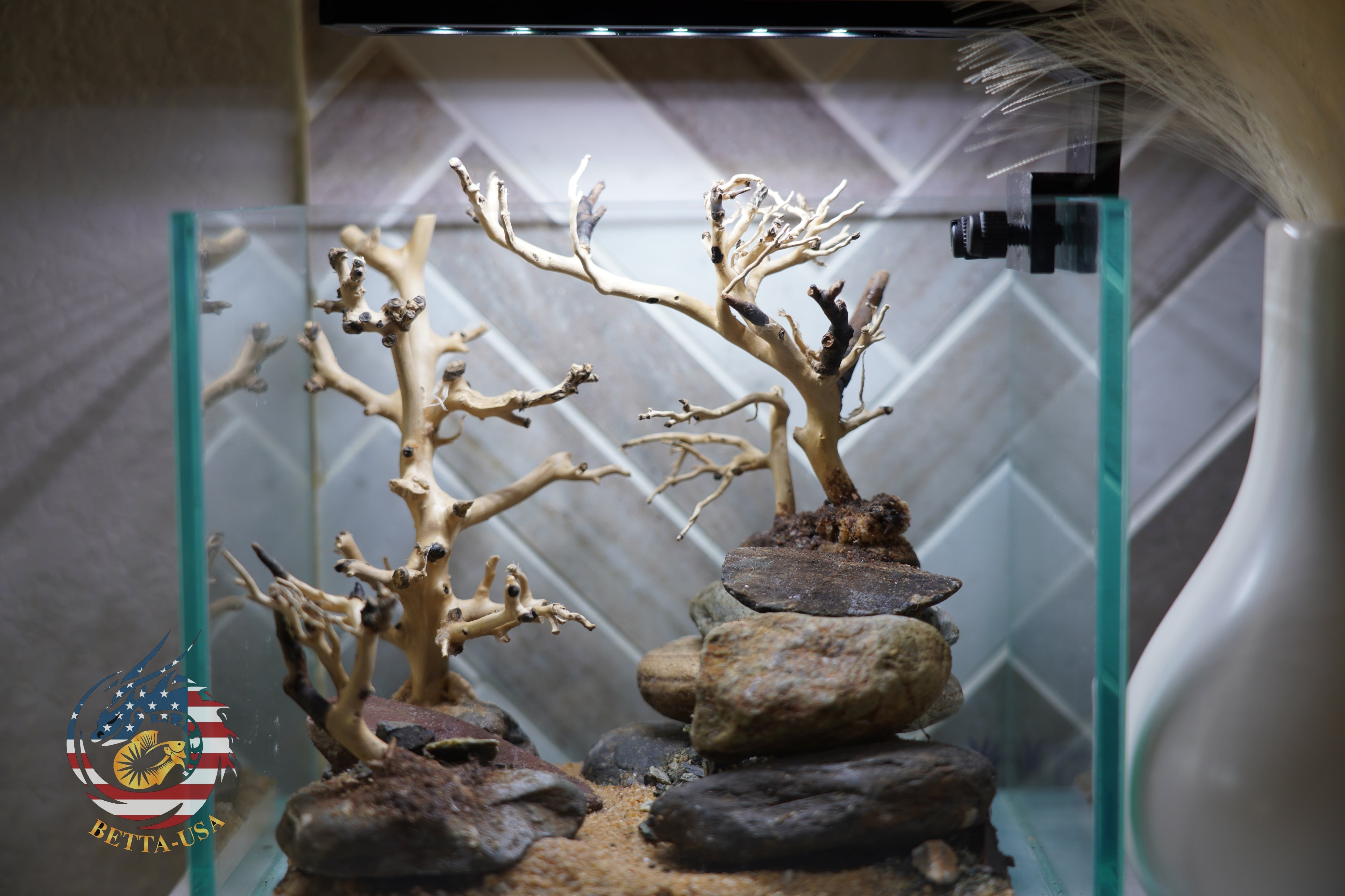 [SCAPE-18] Bonsai on Rock Aquascape Aquarium  – 1 Gallon