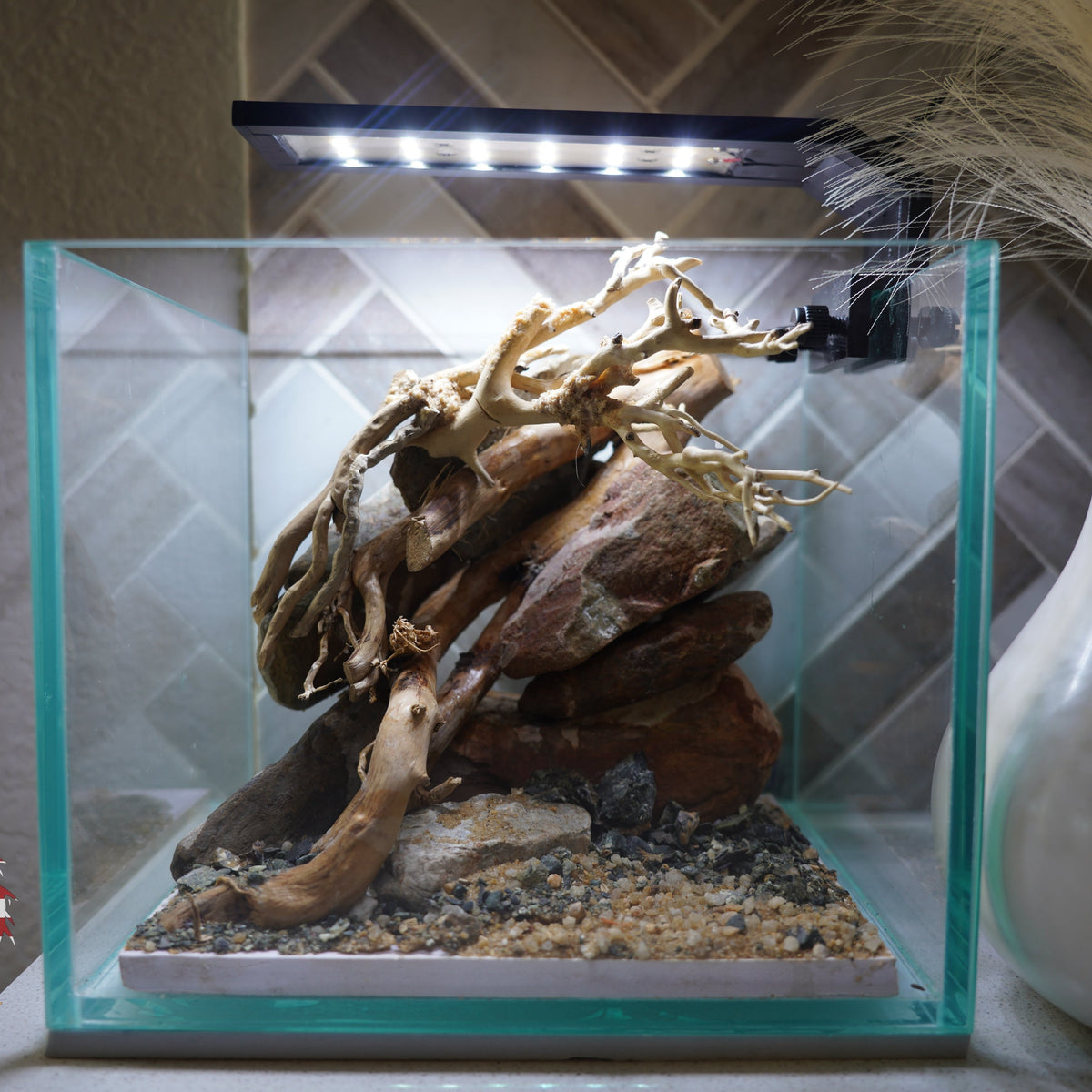 [SCAPE-19] Bonsai on River Rock Aquascape Aquarium  – 1 Gallon