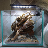 [SCAPE-19] Bonsai on River Rock Aquascape Aquarium  – 1 Gallon