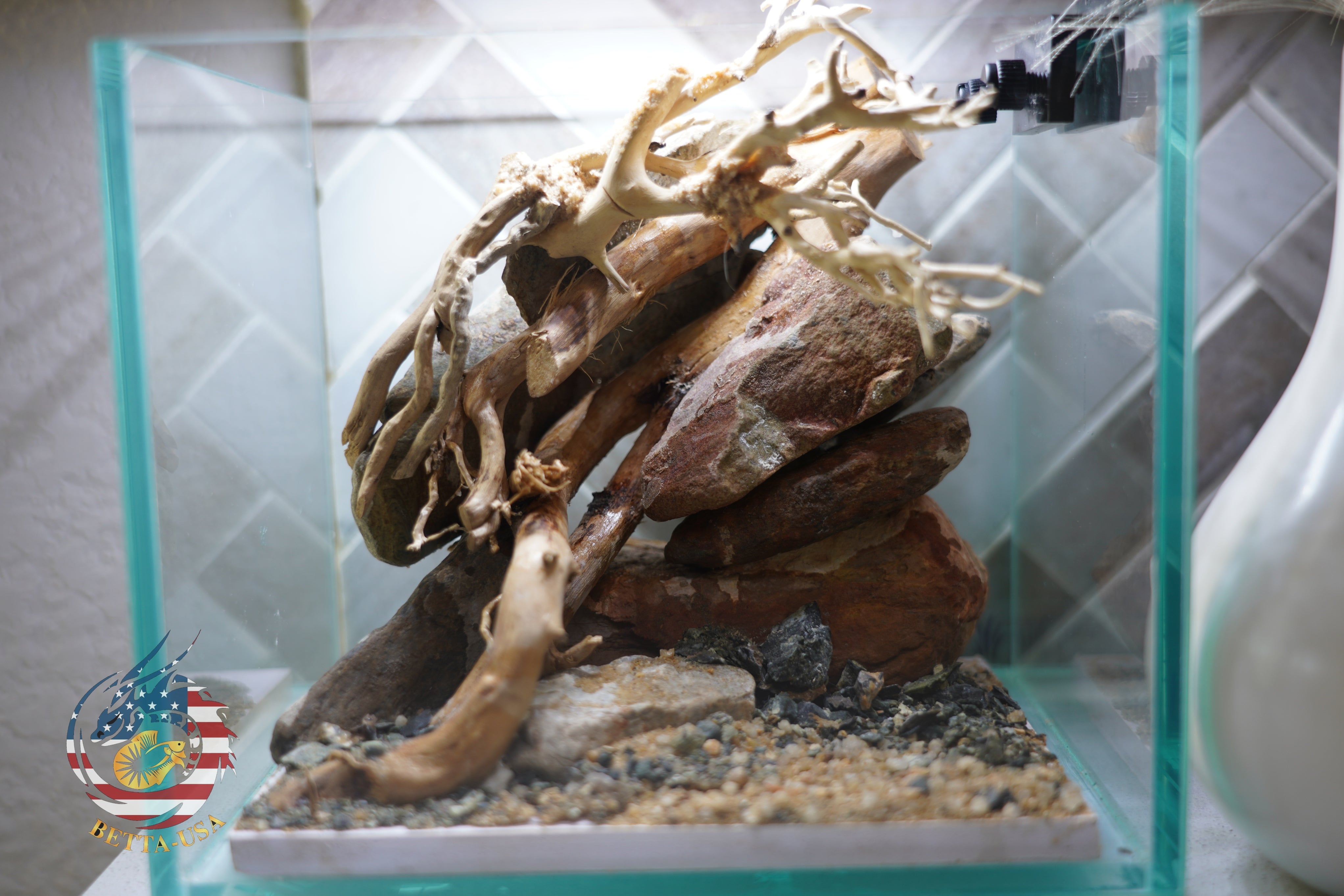 [SCAPE-19] Bonsai on River Rock Aquascape Aquarium  – 1 Gallon