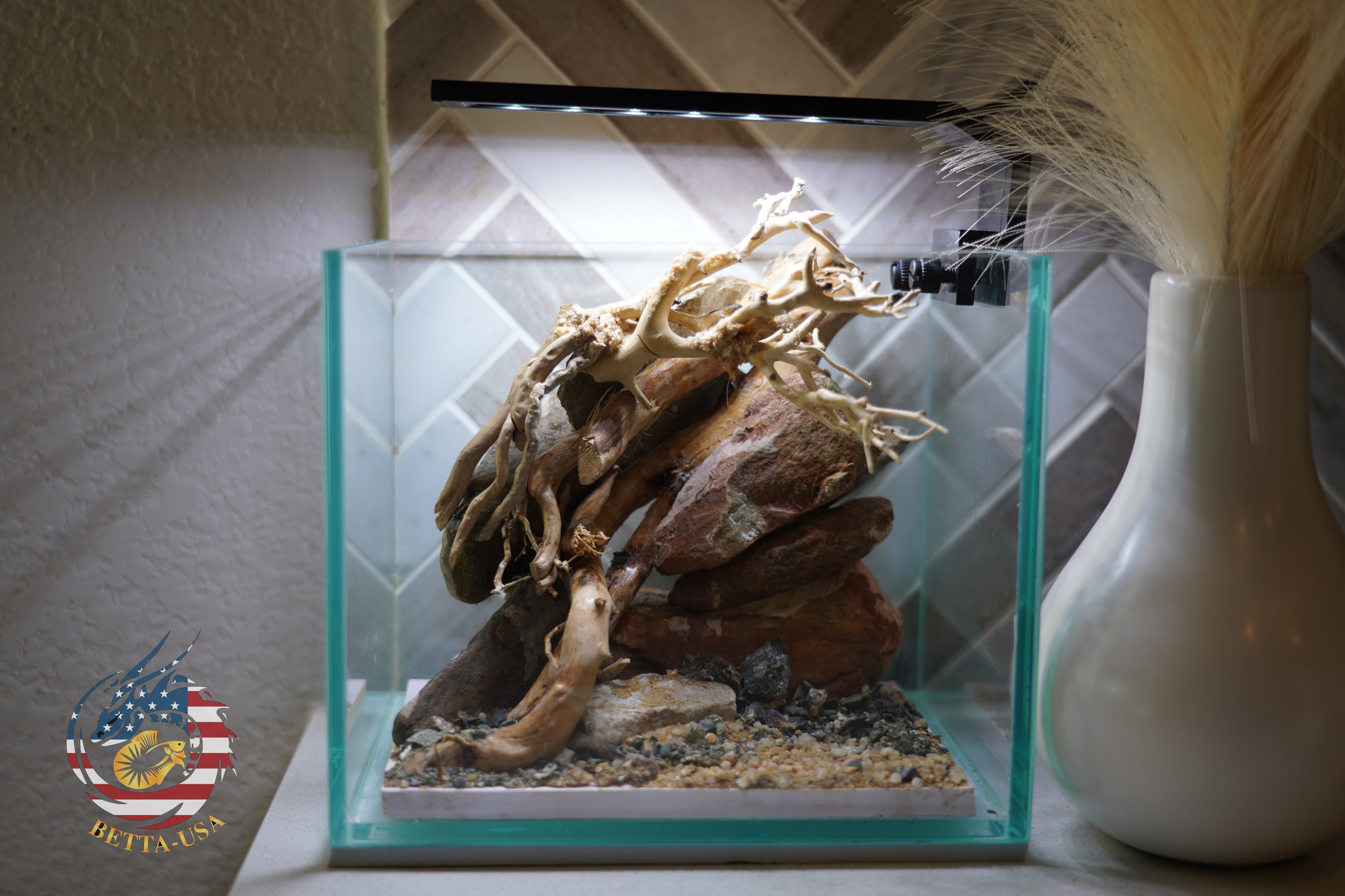 [SCAPE-19] Bonsai on River Rock Aquascape Aquarium  – 1 Gallon