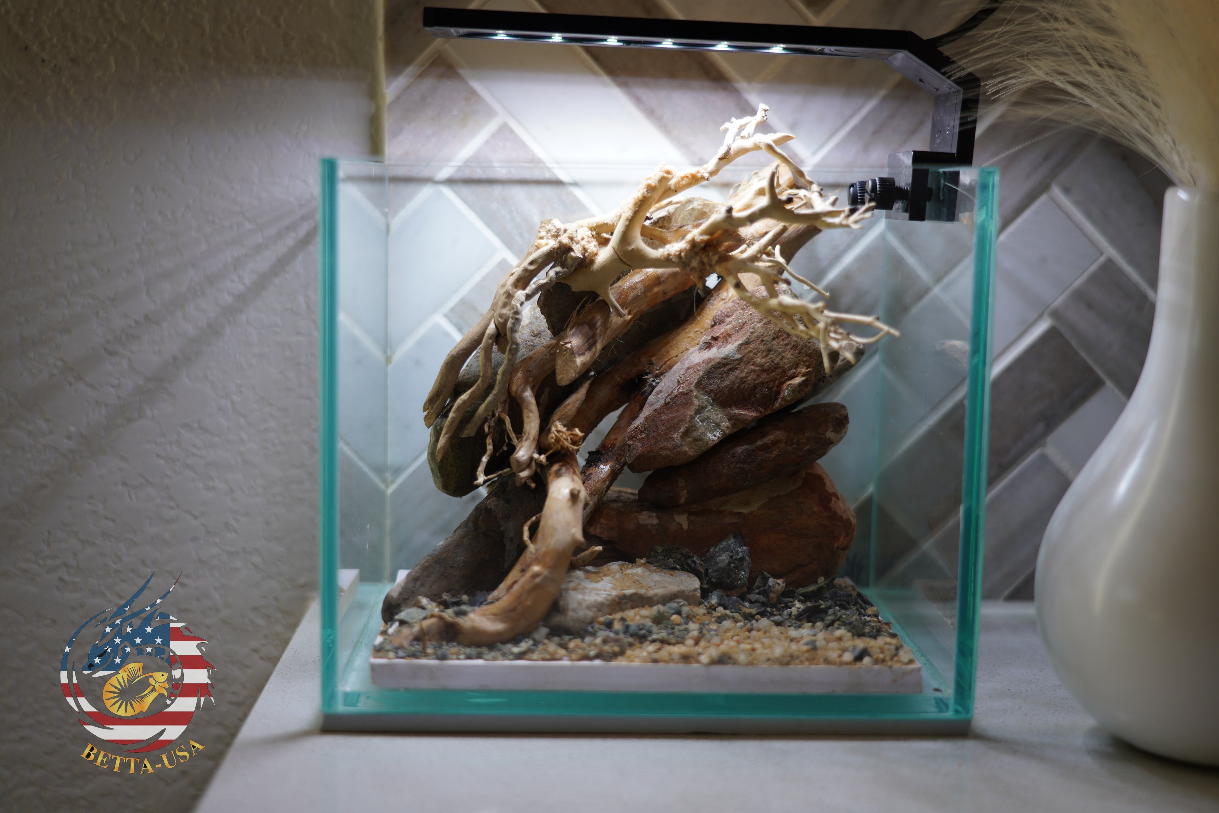 [SCAPE-19] Bonsai on River Rock Aquascape Aquarium  – 1 Gallon