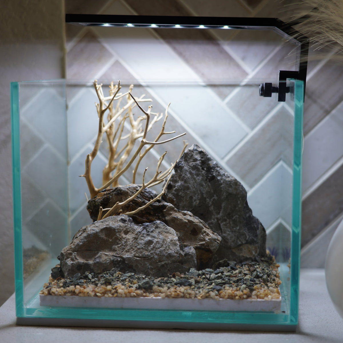 [SCAPE-20] Bonsai on Rock Aquascape Aquarium  – 1 Gallon
