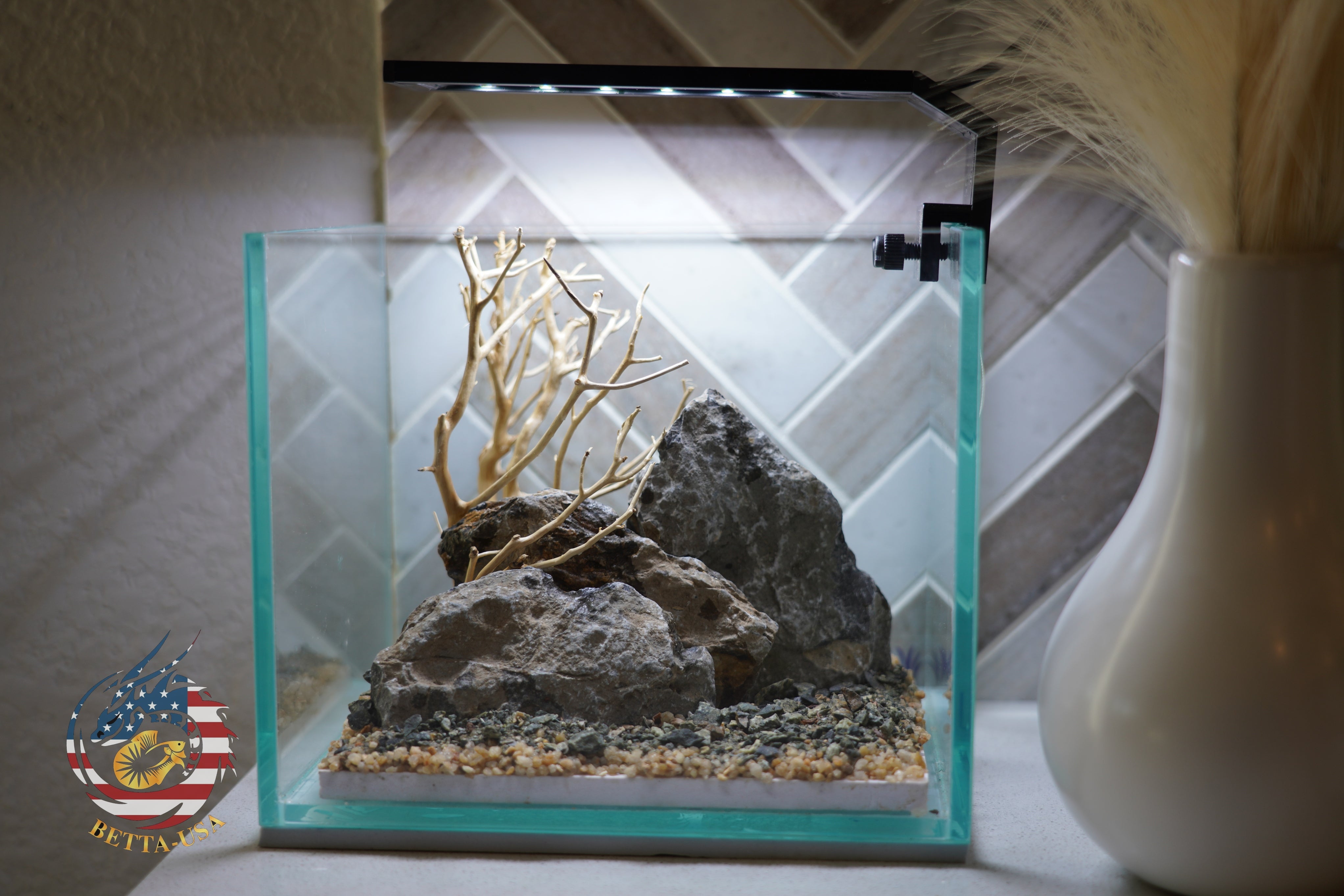 [SCAPE-20] Bonsai on Rock Aquascape Aquarium  – 1 Gallon