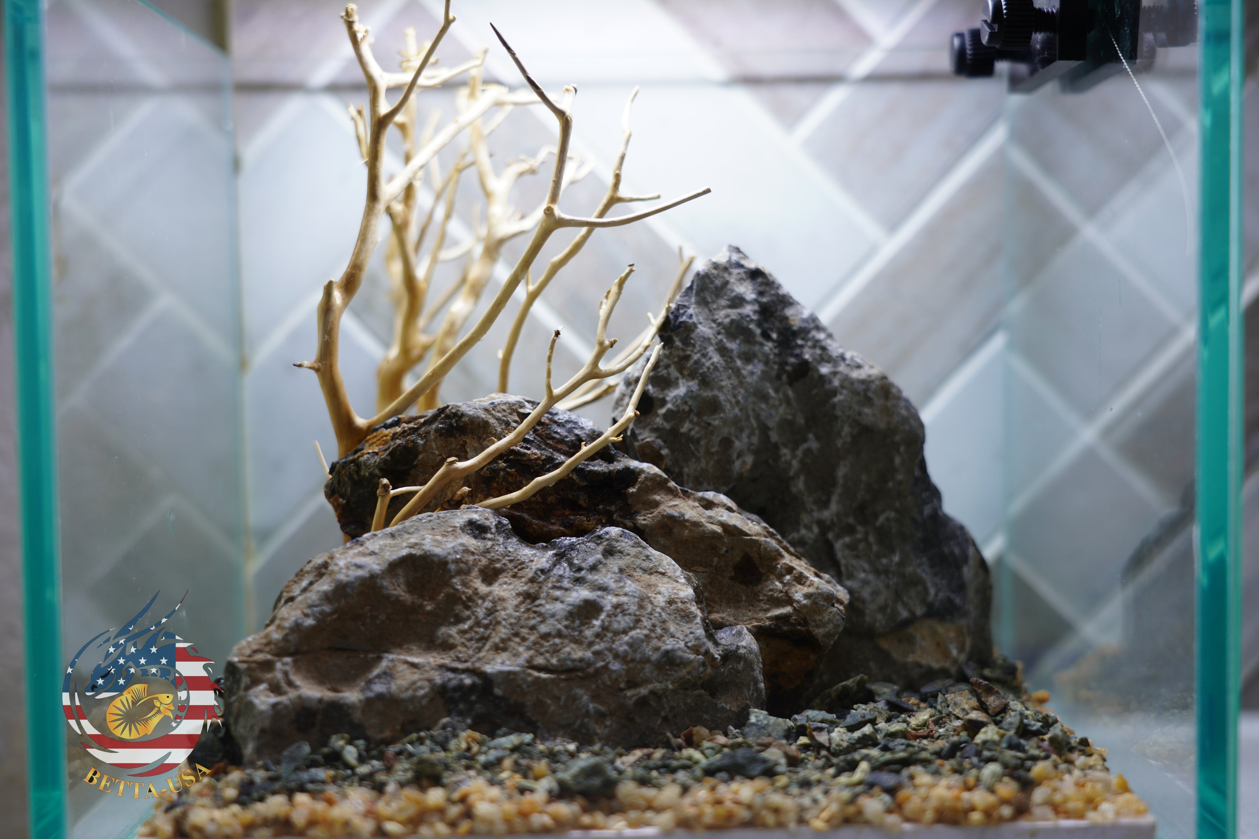 [SCAPE-20] Bonsai on Rock Aquascape Aquarium  – 1 Gallon