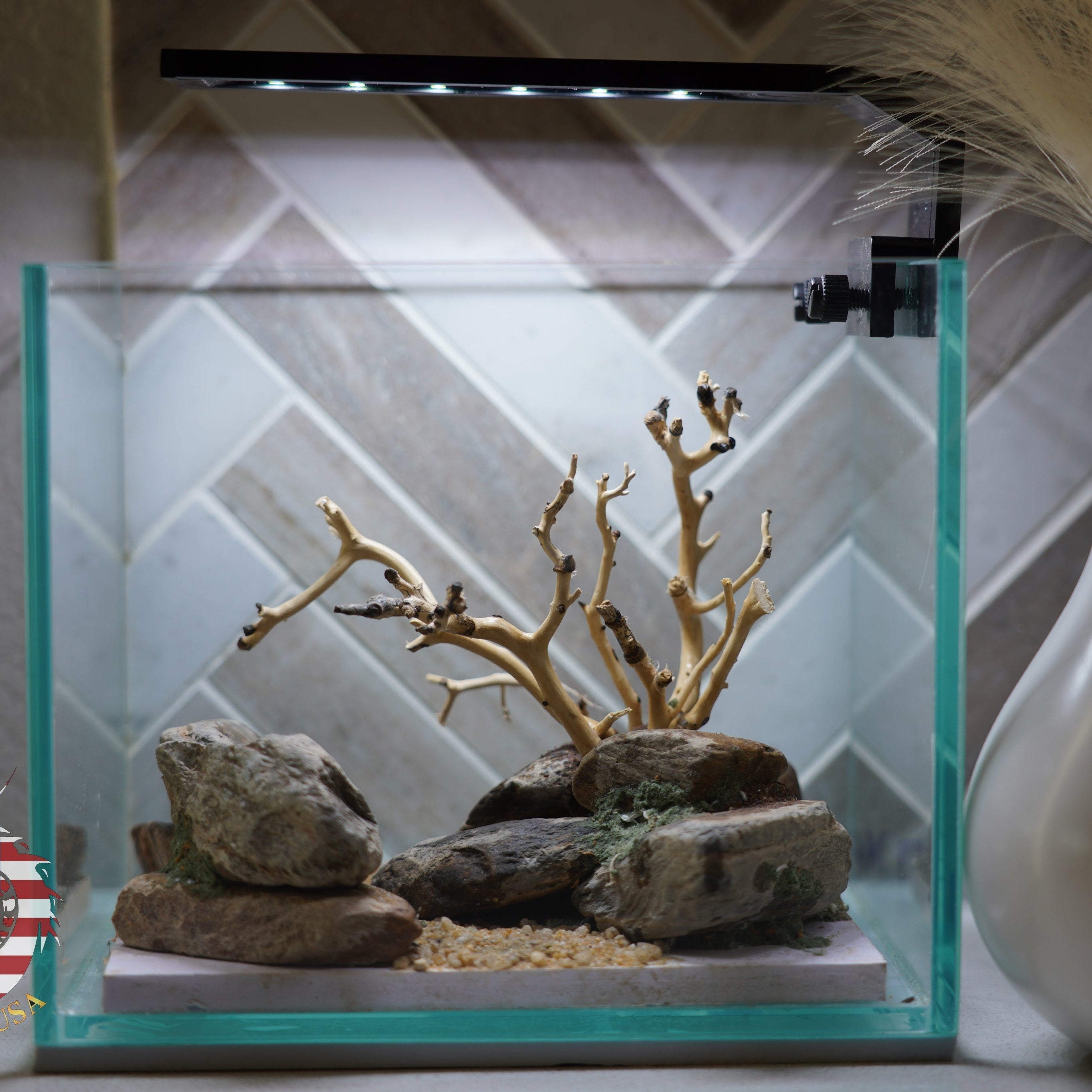 [SCAPE-23] Bonsai on Rock Aquascape Aquarium  – 1 Gallon