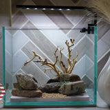[SCAPE-23] Bonsai on Rock Aquascape Aquarium  – 1 Gallon