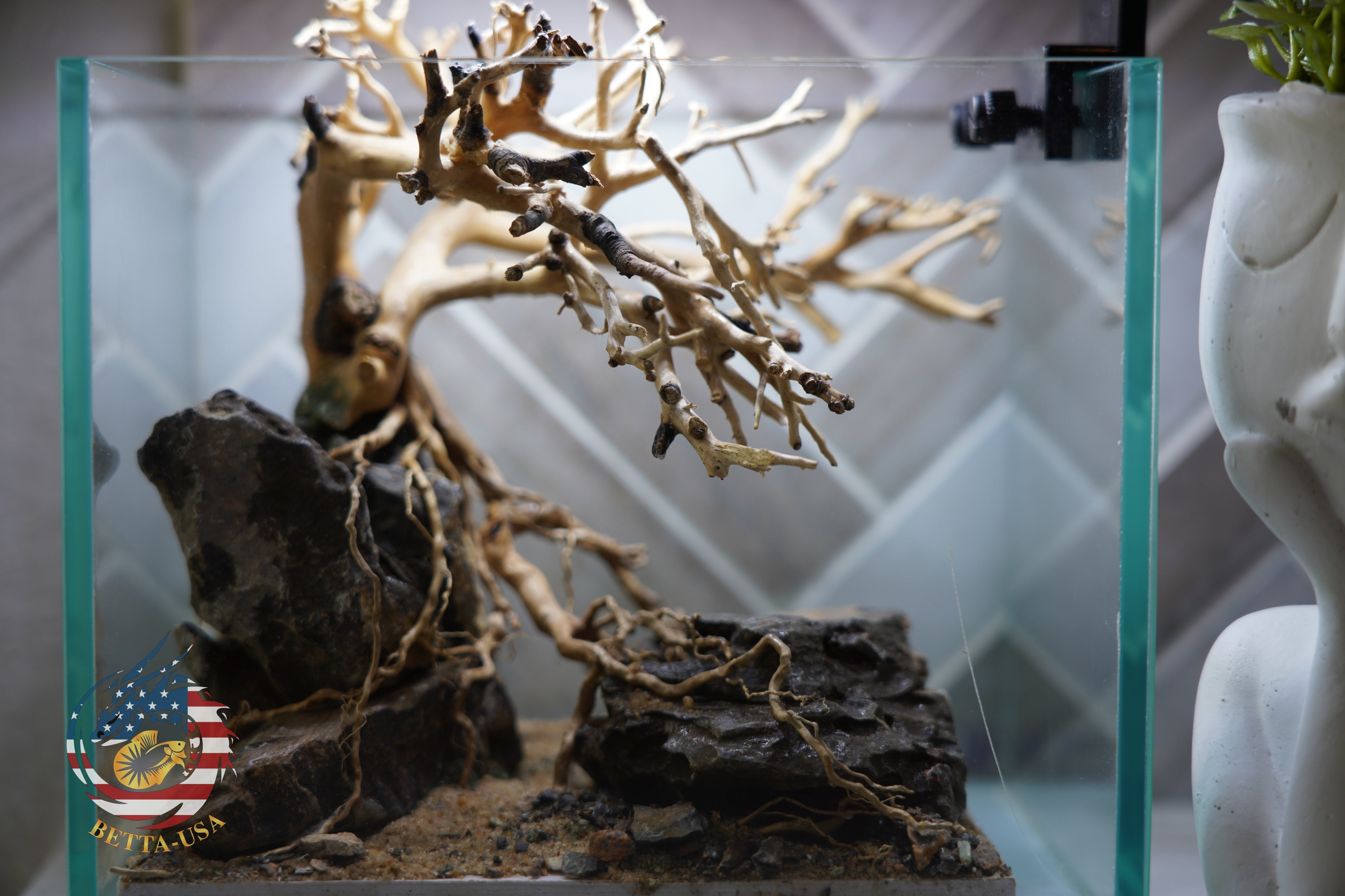 [SCAPE-24] Bonsai on Rock Aquascape Aquarium  – 1 Gallon