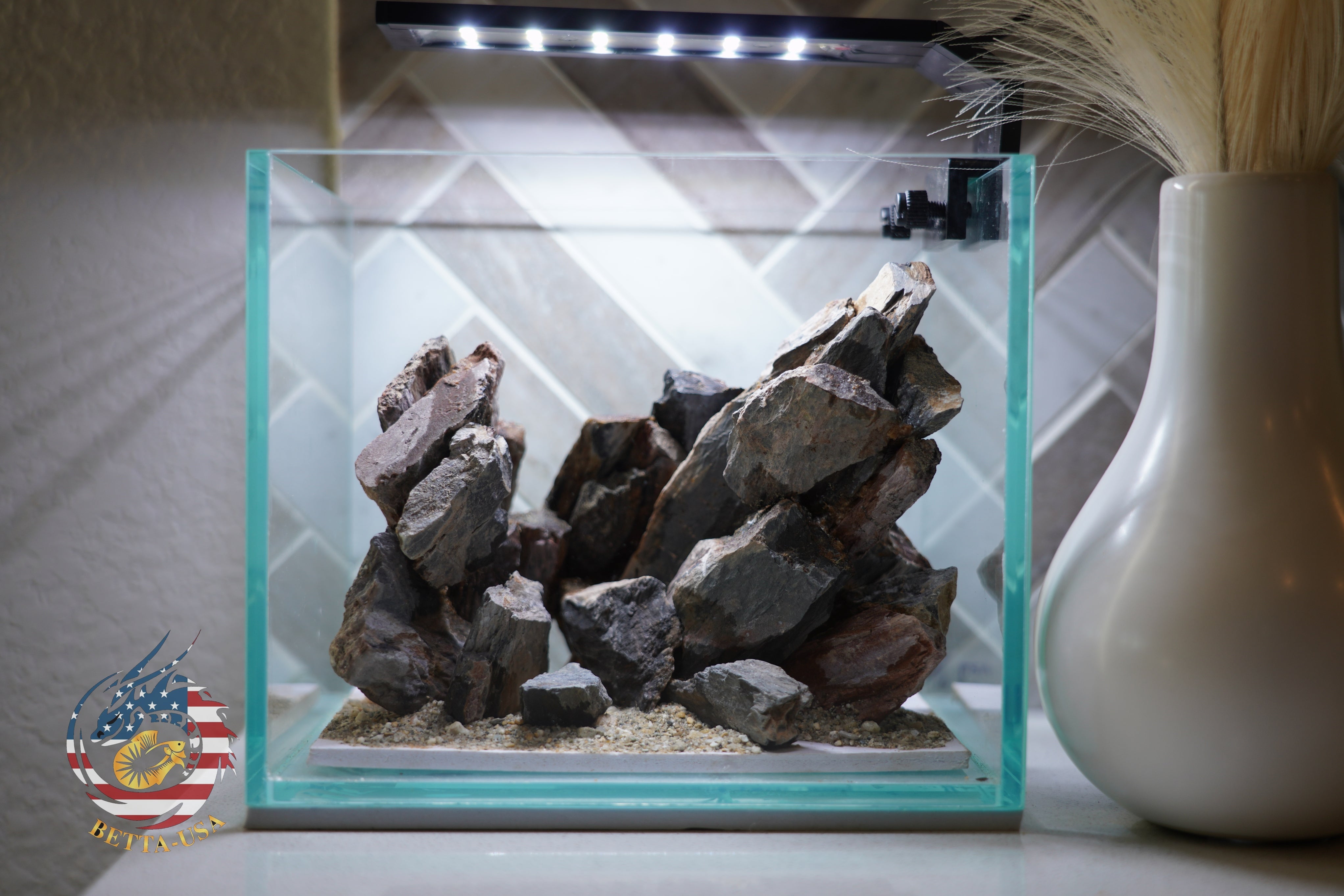 [SCAPE-26] Mountain-Inspired Aquarium Aquascape – 1 Gallon