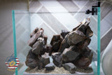 [SCAPE-26] Mountain-Inspired Aquarium Aquascape – 1 Gallon