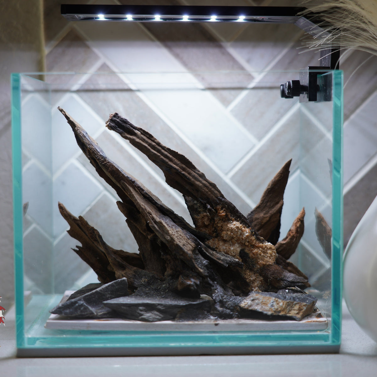 [SCAPE-27] Nature Aquarium Aquascape Driftwood  – 1 Gallon