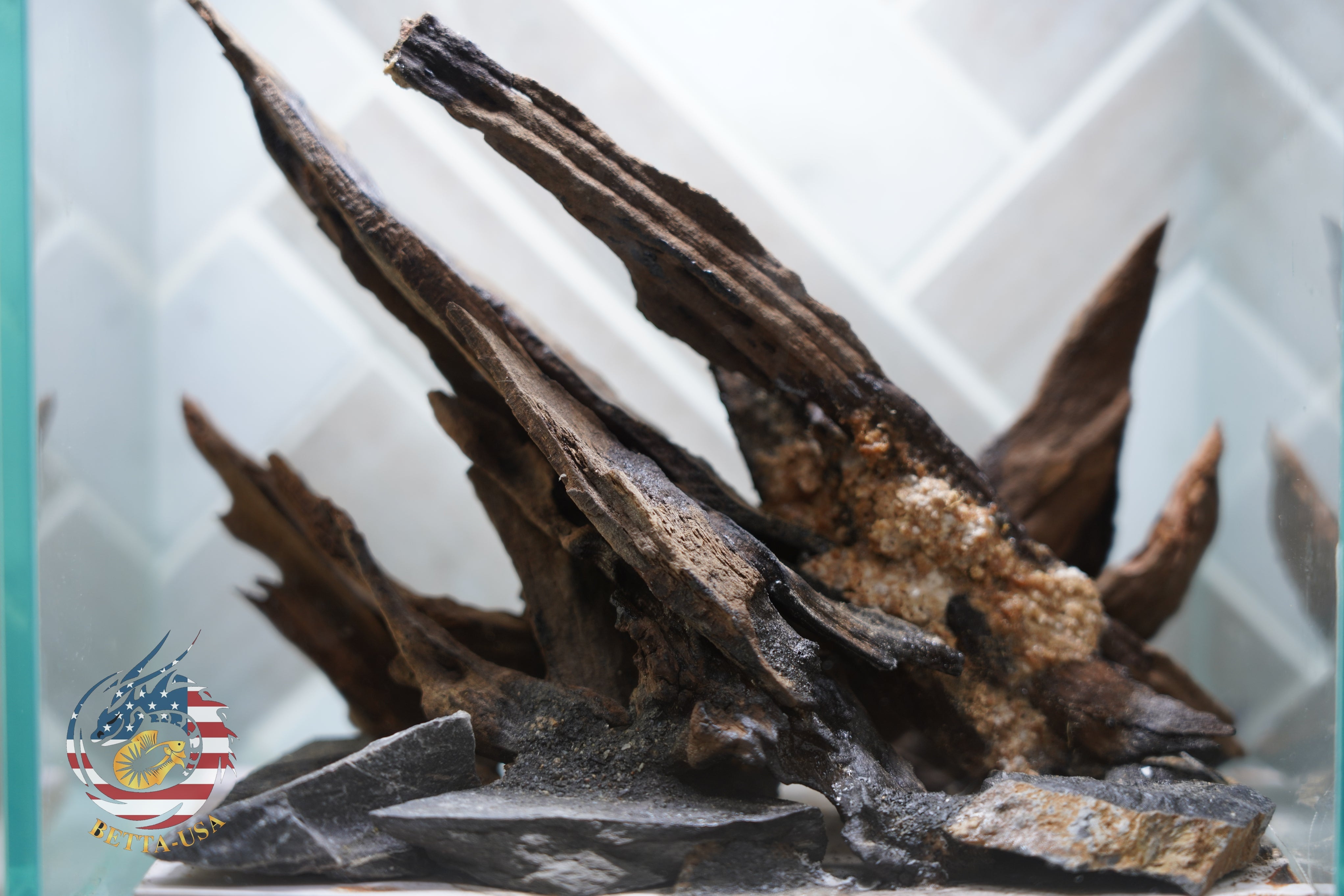 [SCAPE-27] Nature Aquarium Aquascape Driftwood  – 1 Gallon