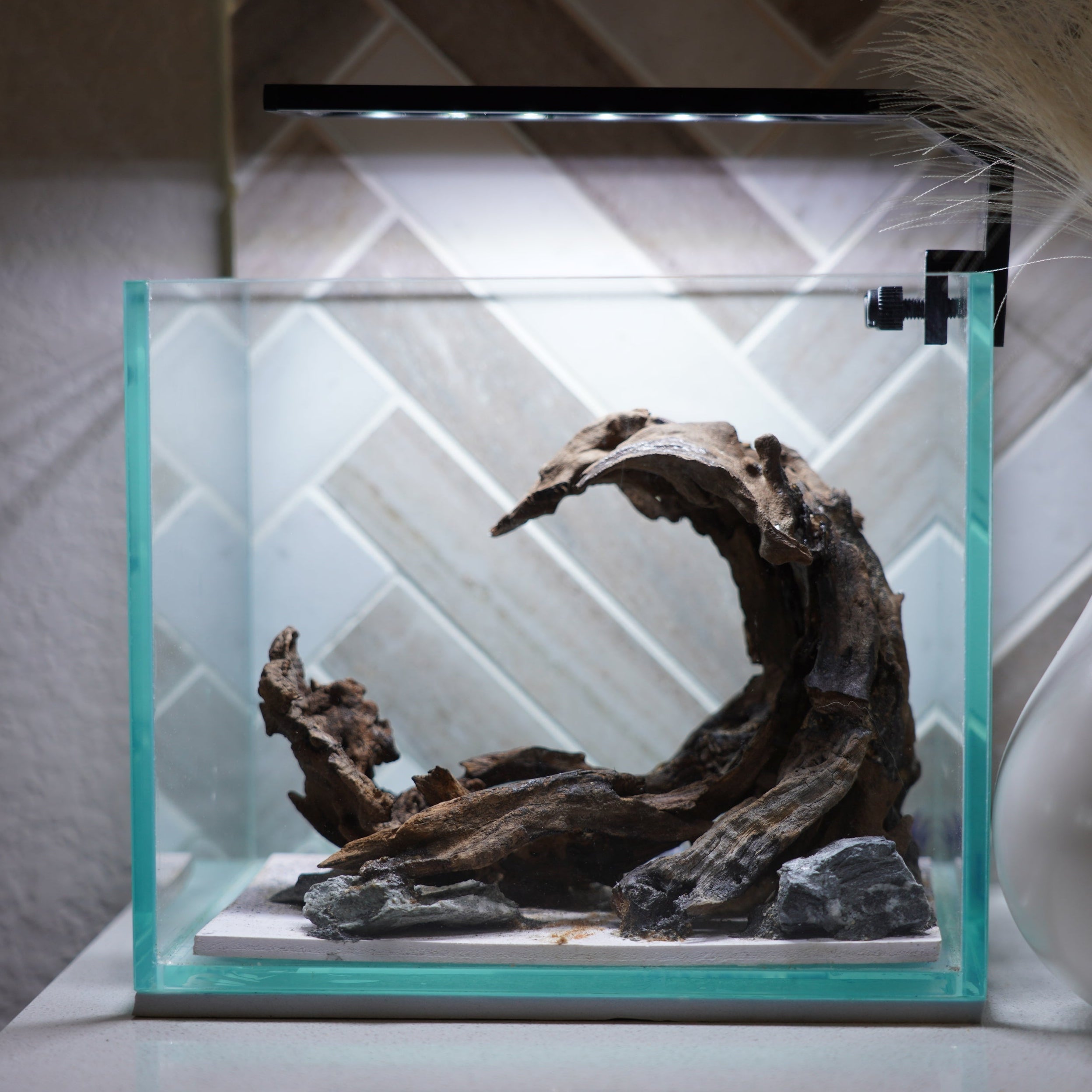 [SCAPE-30] Nature Aquarium Aquascape Driftwood – 1 Gallon