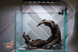 [SCAPE-30] Nature Aquarium Aquascape Driftwood – 1 Gallon