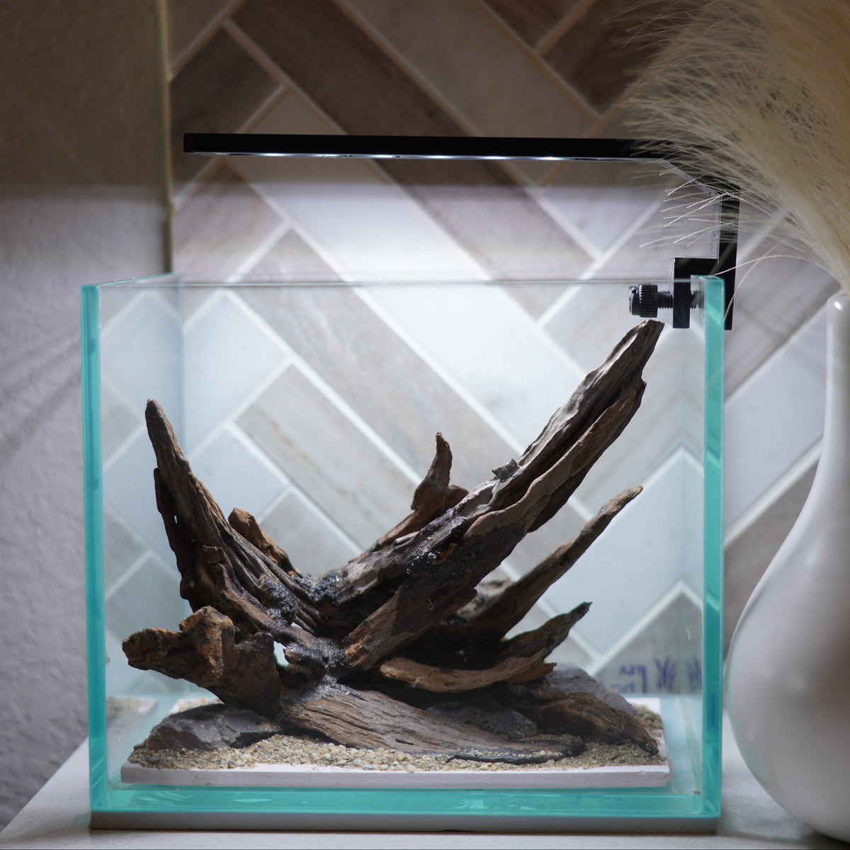 [SCAPE-31] Nature Aquarium Aquascape Driftwood – 1 Gallon