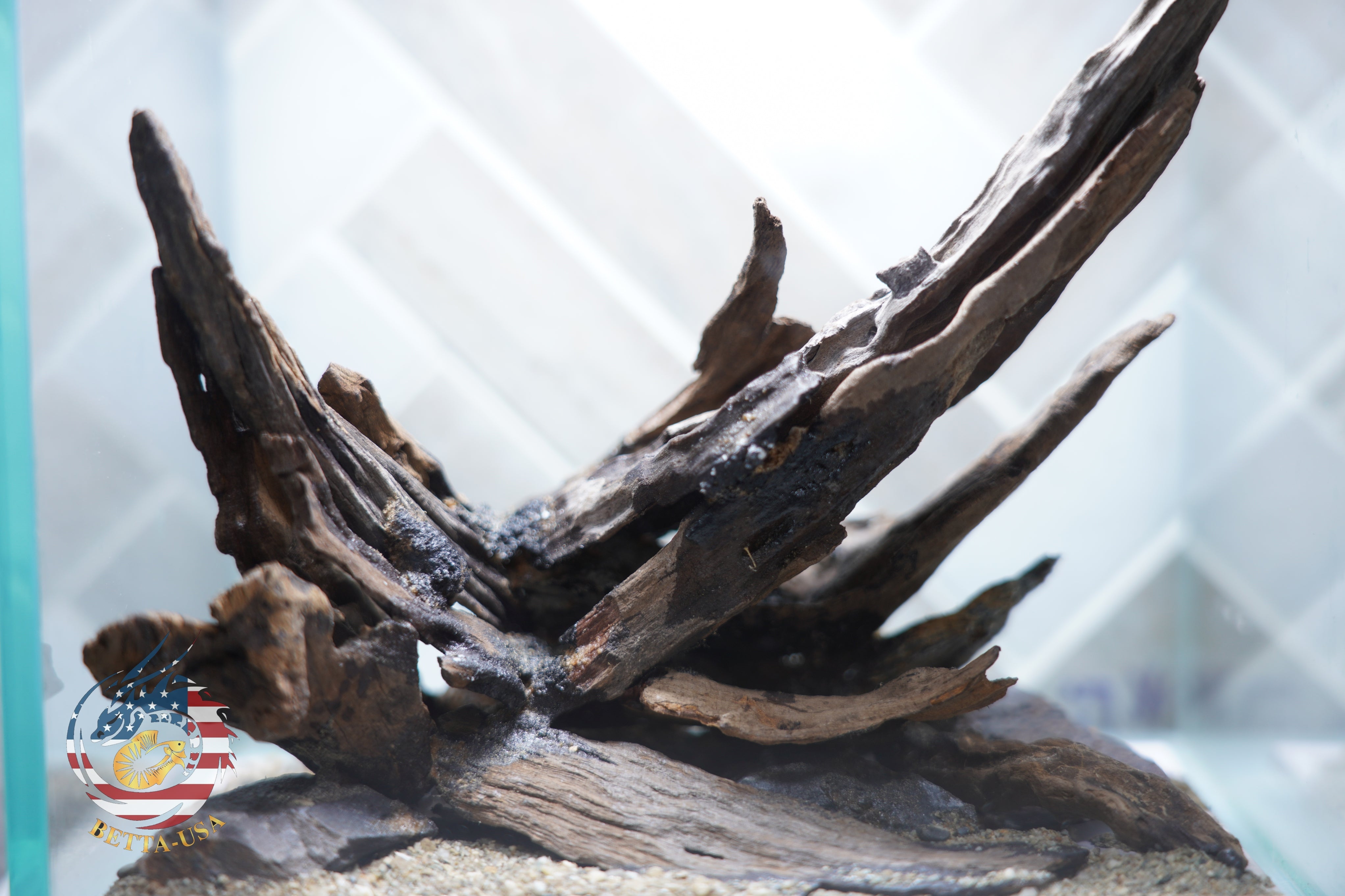 [SCAPE-31] Nature Aquarium Aquascape Driftwood – 1 Gallon