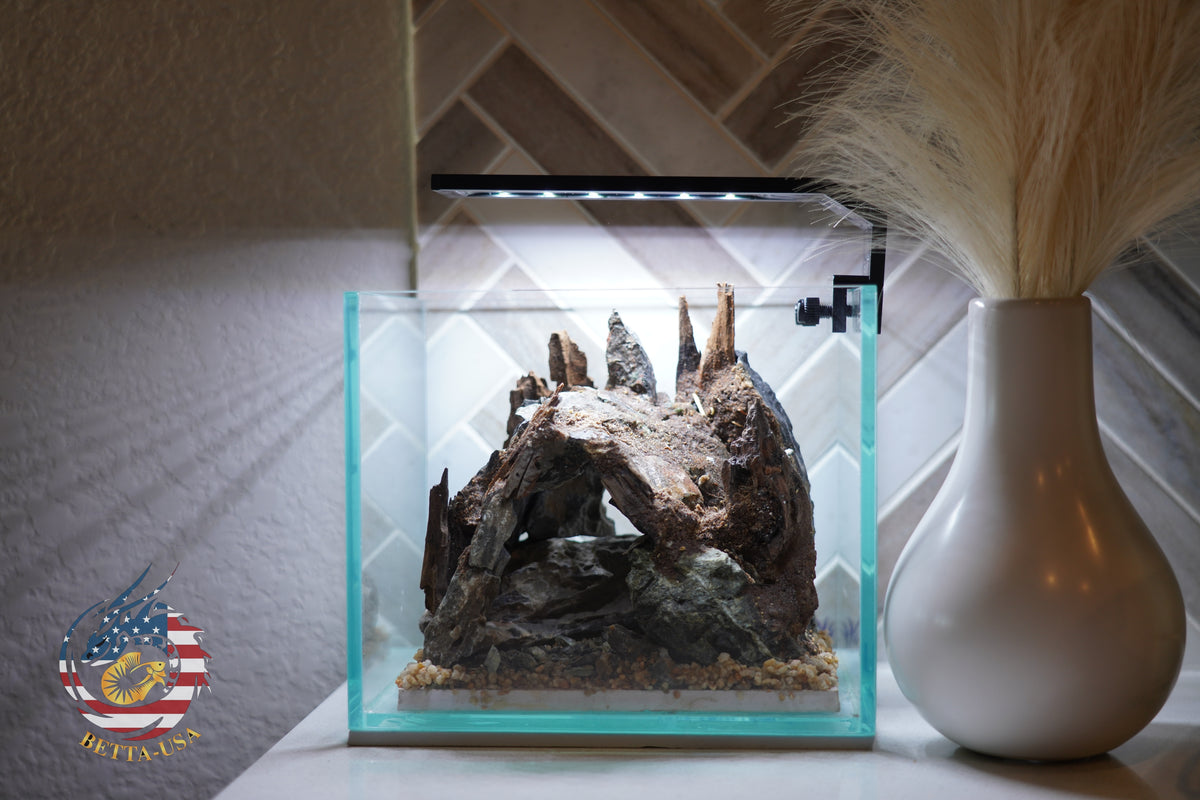 [SCAPE-32] Nature Aquarium Aquascape Diftwood – 1 Gallon