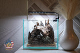 [SCAPE-32] Nature Aquarium Aquascape Diftwood – 1 Gallon