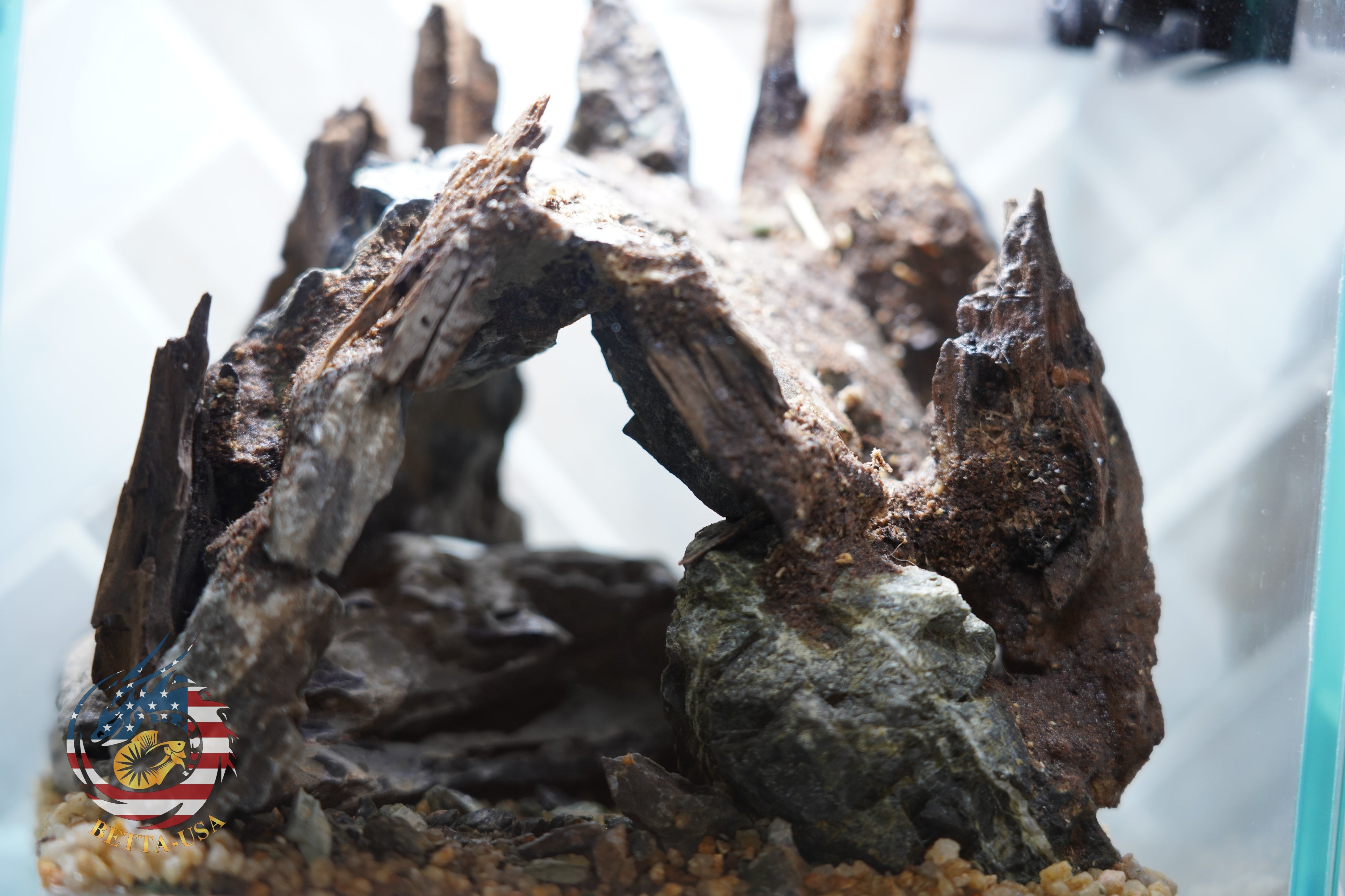 [SCAPE-32] Nature Aquarium Aquascape Diftwood – 1 Gallon