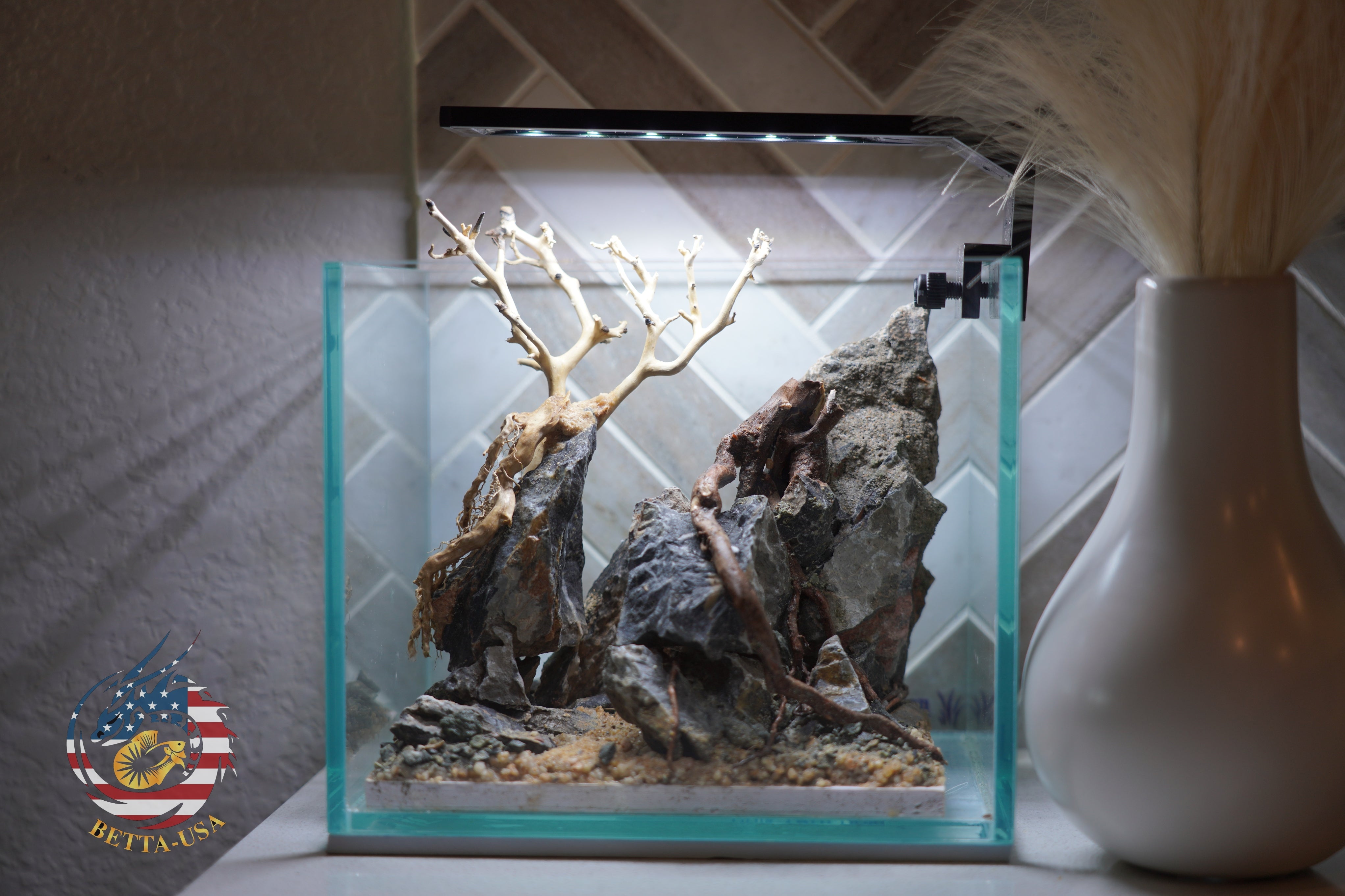 [SCAPE-33] Bonsai on Rock Aquascape Aquarium  – 1 Gallon