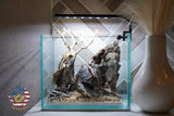 [SCAPE-33] Bonsai on Rock Aquascape Aquarium  – 1 Gallon