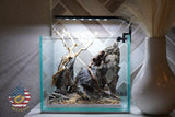 [SCAPE-33] Bonsai on Rock Aquascape Aquarium  – 1 Gallon