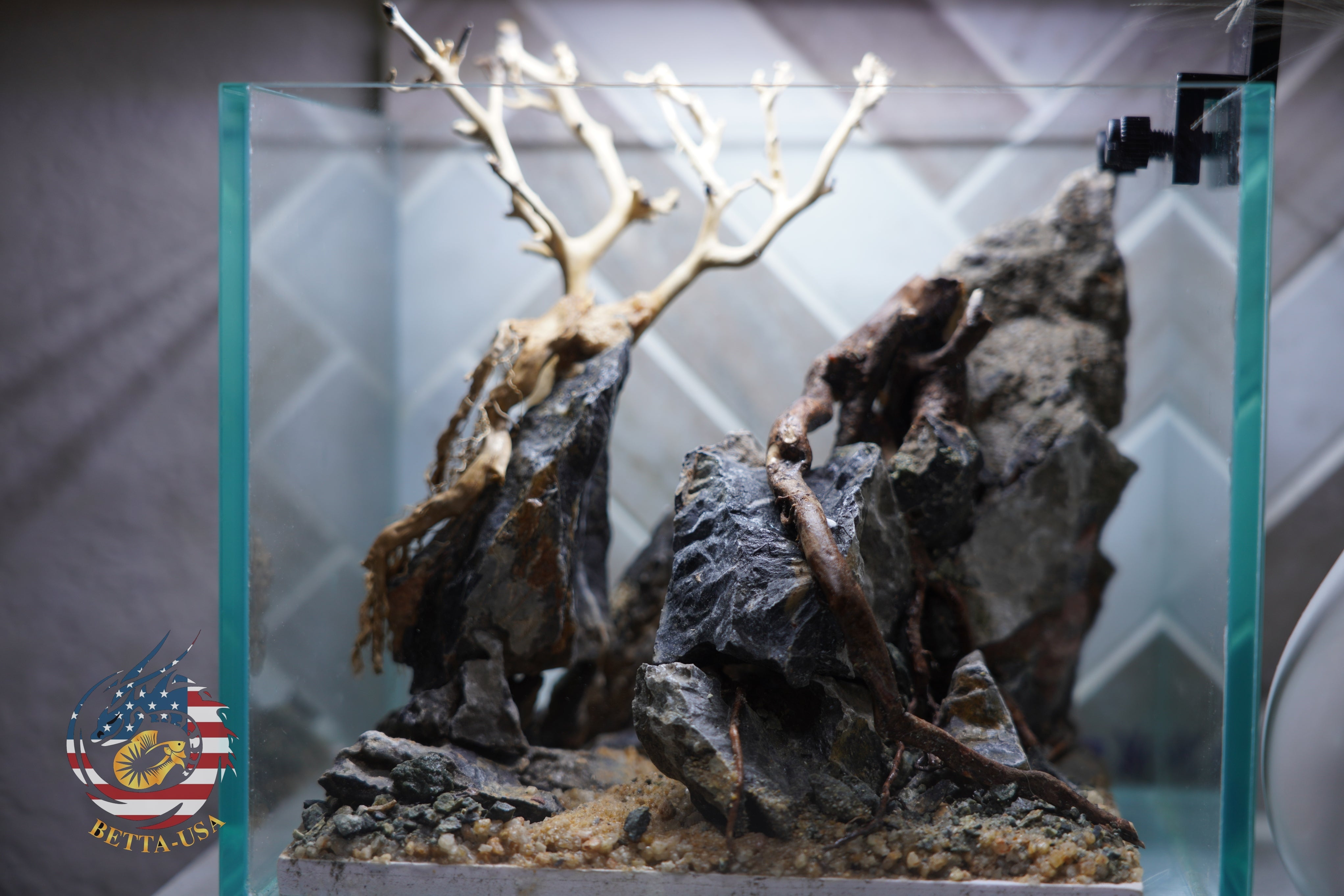 [SCAPE-33] Bonsai on Rock Aquascape Aquarium  – 1 Gallon