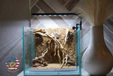 [SCAPE-34] Nature Aquarium Aquascape Diftwood – 1 Gallon
