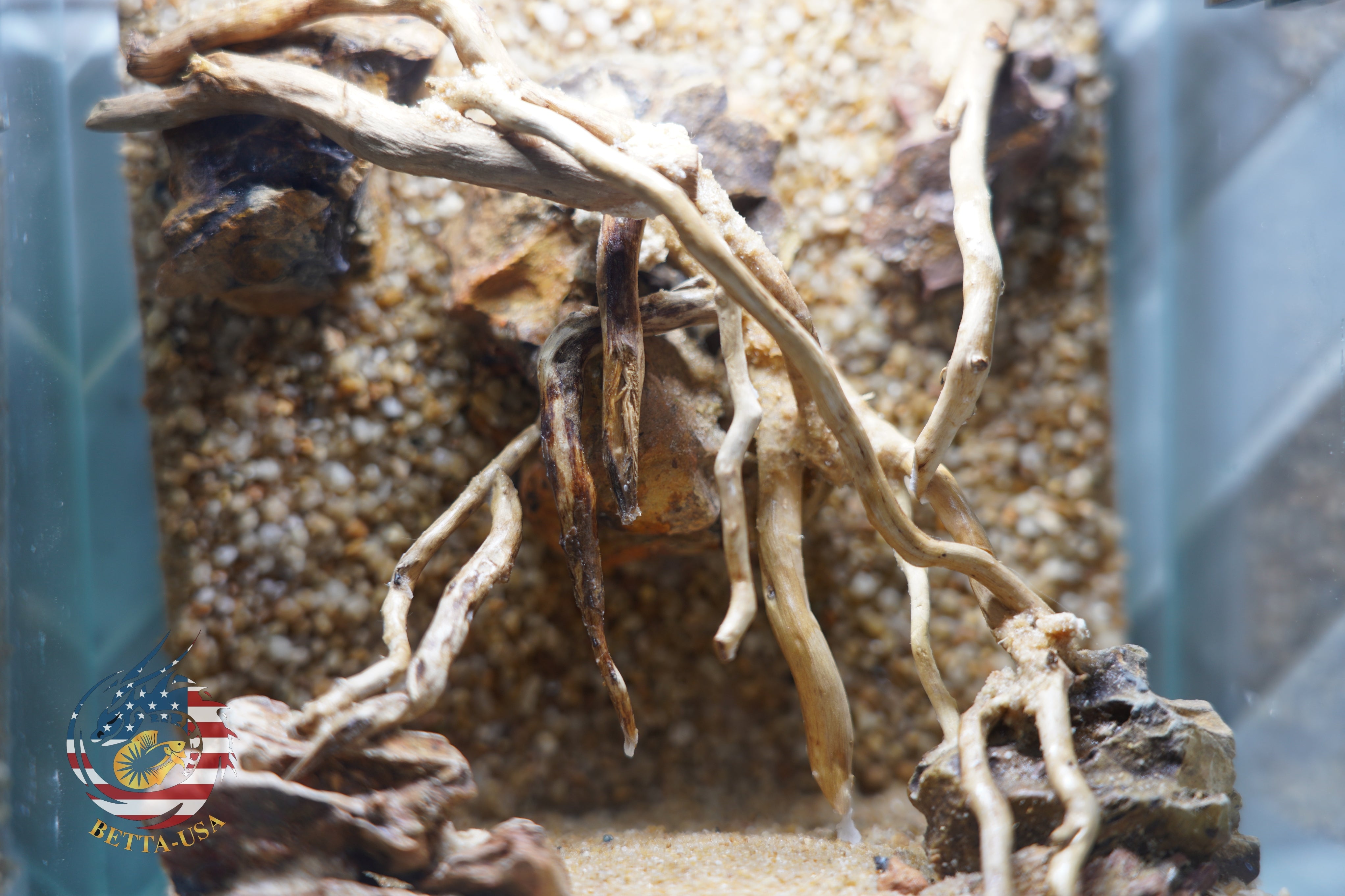 [SCAPE-34] Nature Aquarium Aquascape Diftwood – 1 Gallon