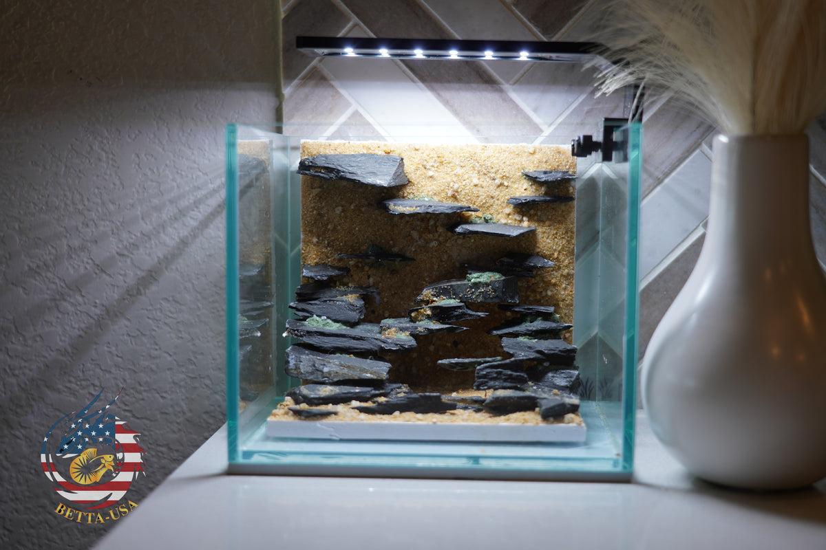 [SCAPE-35] Nature Aquarium Aquascape Diftwood – 1 Gallon