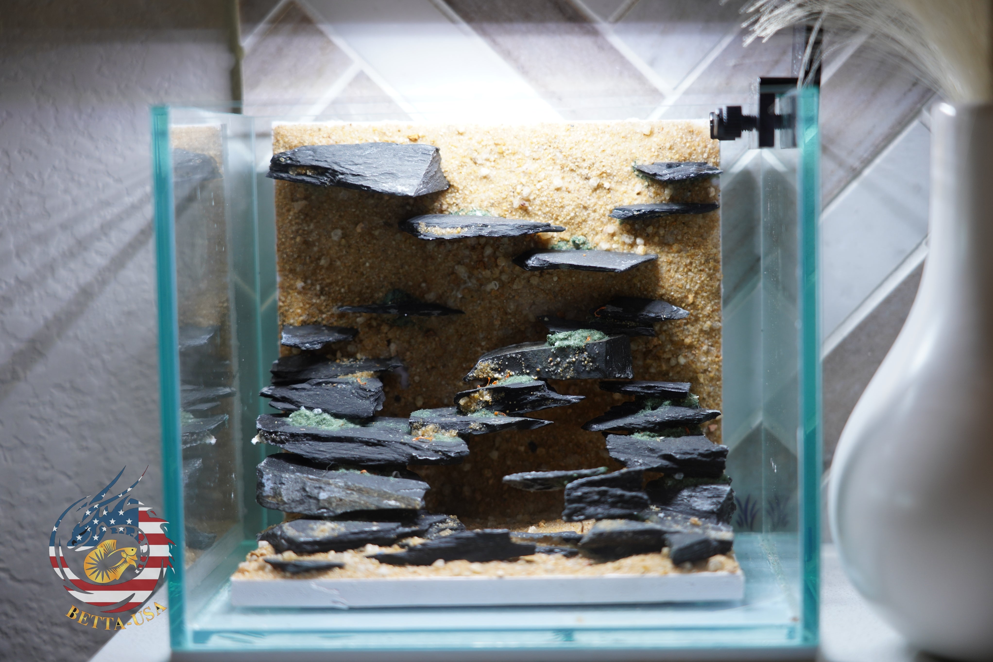 [SCAPE-35] Nature Aquarium Aquascape Diftwood – 1 Gallon