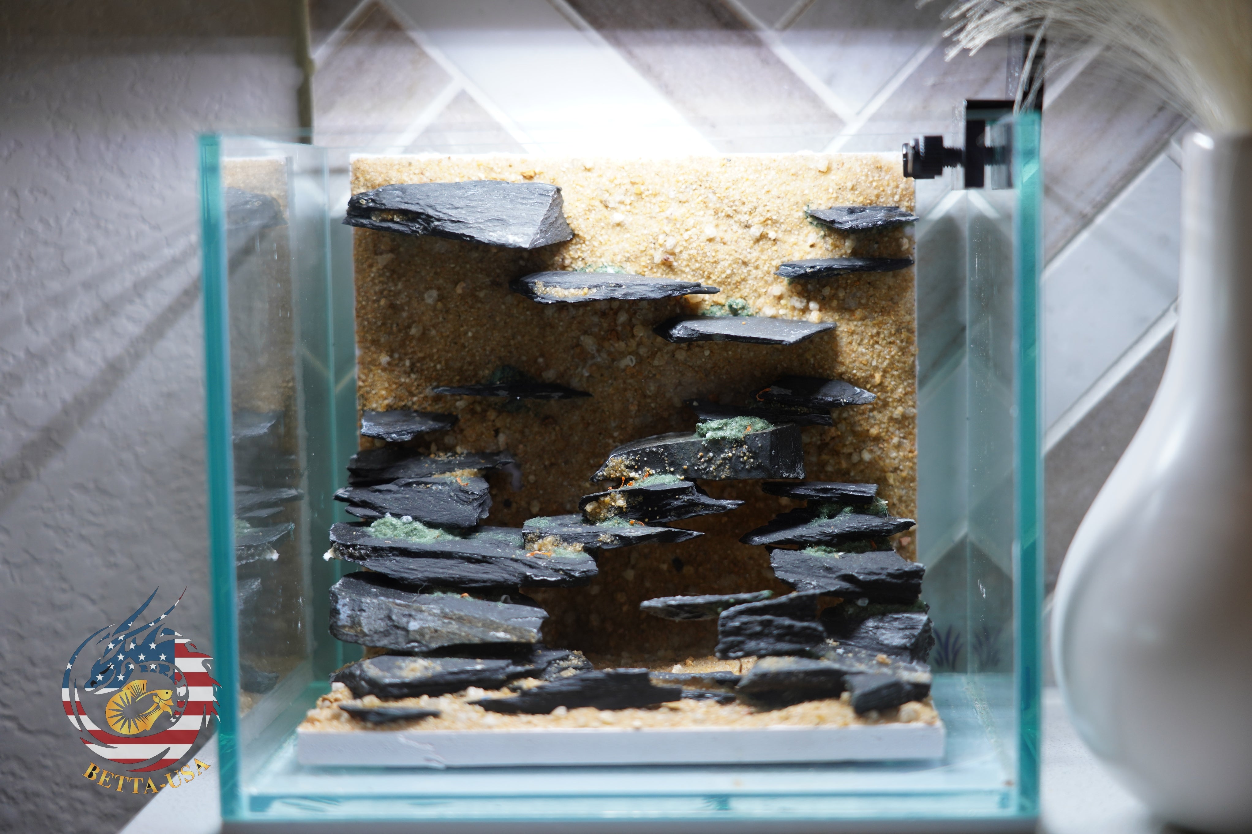 [SCAPE-35] Nature Aquarium Aquascape Diftwood – 1 Gallon