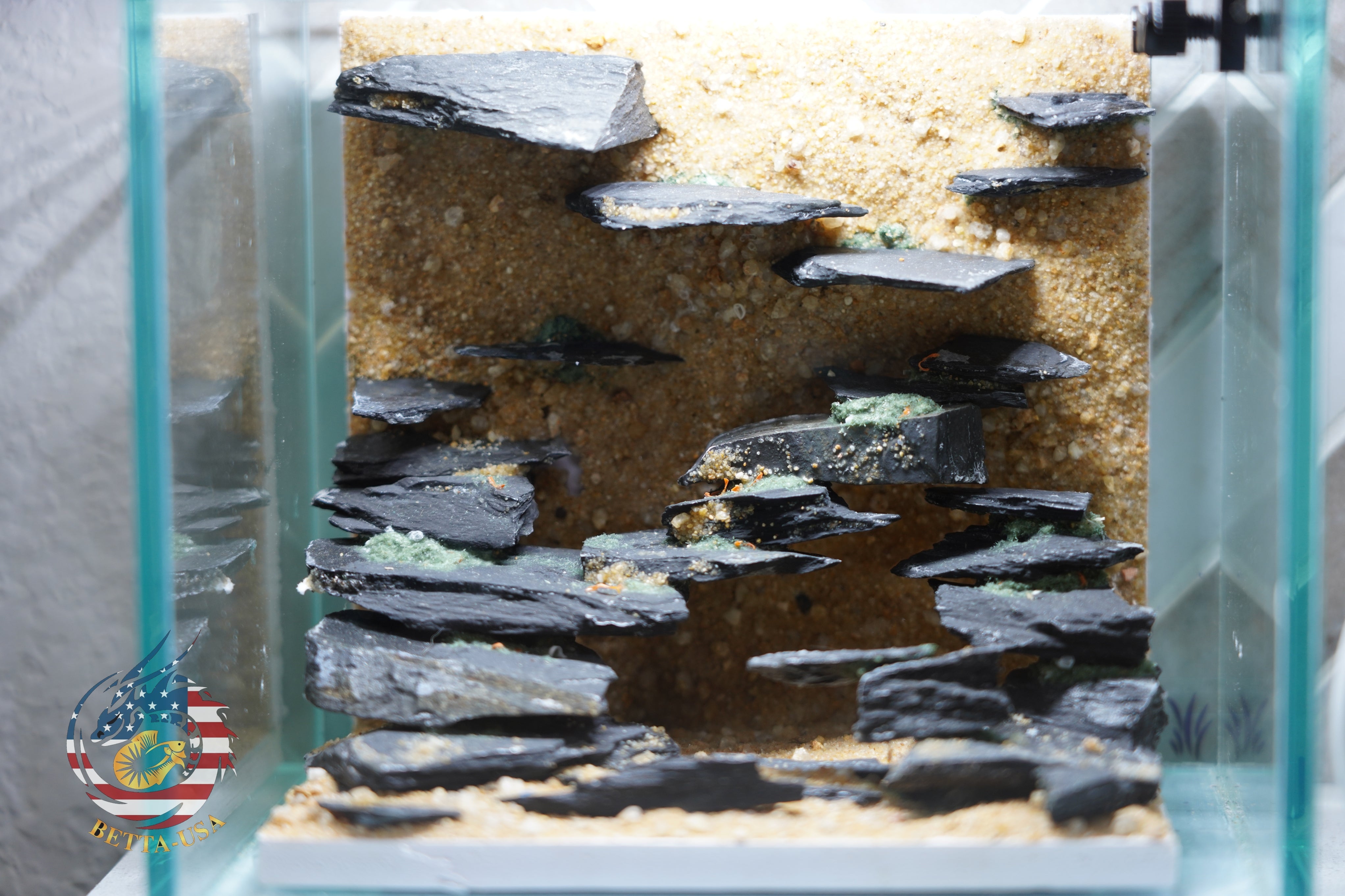 [SCAPE-35] Nature Aquarium Aquascape Diftwood – 1 Gallon