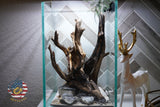[SCAPE-36] Nature Aquarium Aquascape Diftwood – 1.6 Gallons