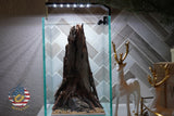 [SCAPE-38] Nature Aquarium Aquascape Driftwood– 1.6 Gallons