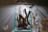 [SCAPE-41] Nature Aquarium Aquascape Diftwood – 1.6 Gallons