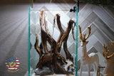 [SCAPE-41] Nature Aquarium Aquascape Diftwood – 1.6 Gallons