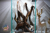 [SCAPE-41] Nature Aquarium Aquascape Diftwood – 1.6 Gallons