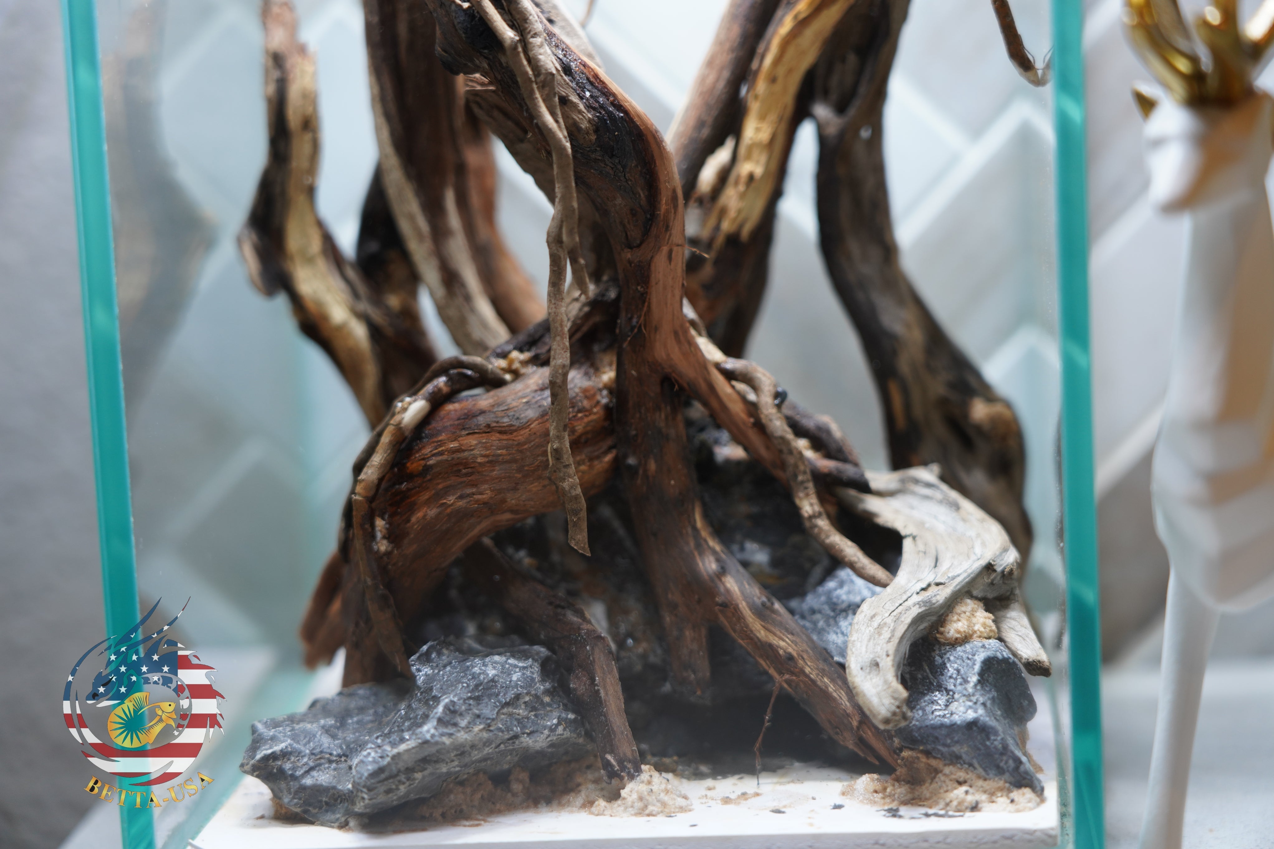 [SCAPE-41] Nature Aquarium Aquascape Diftwood – 1.6 Gallons