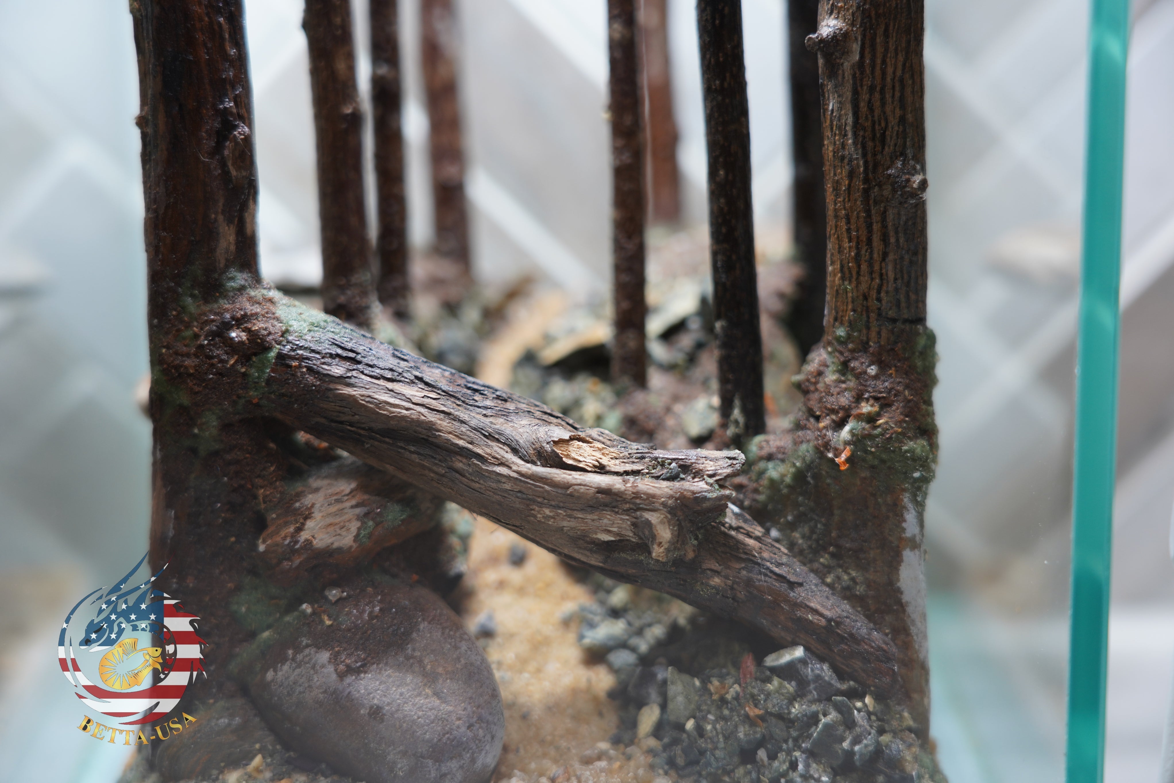 [SCAPE-42] Jungle Nature Aquarium Aquascape Diftwood – 1.6 Gallons