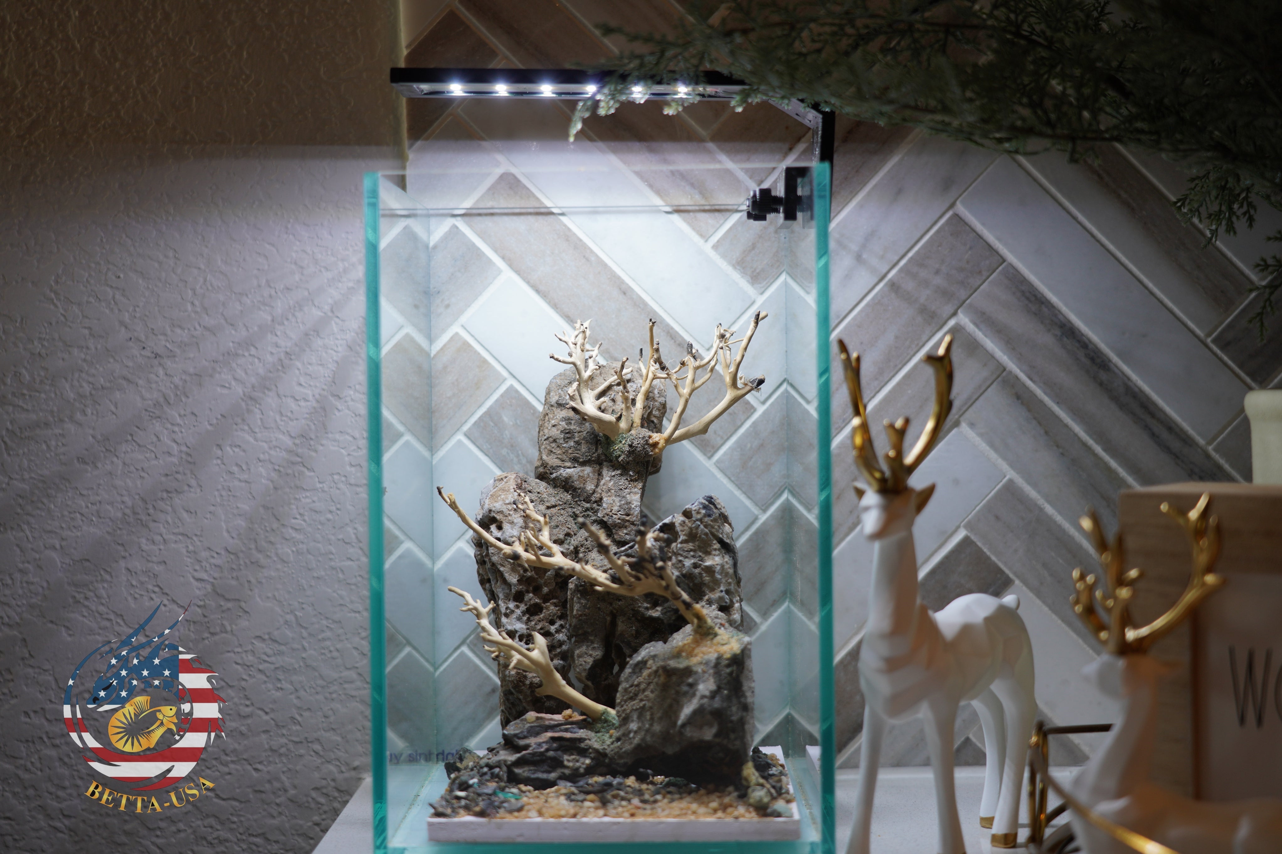 [SCAPE-43] Bonsai On Rock  Nature Aquarium Aquascape– 1.6 Gallons