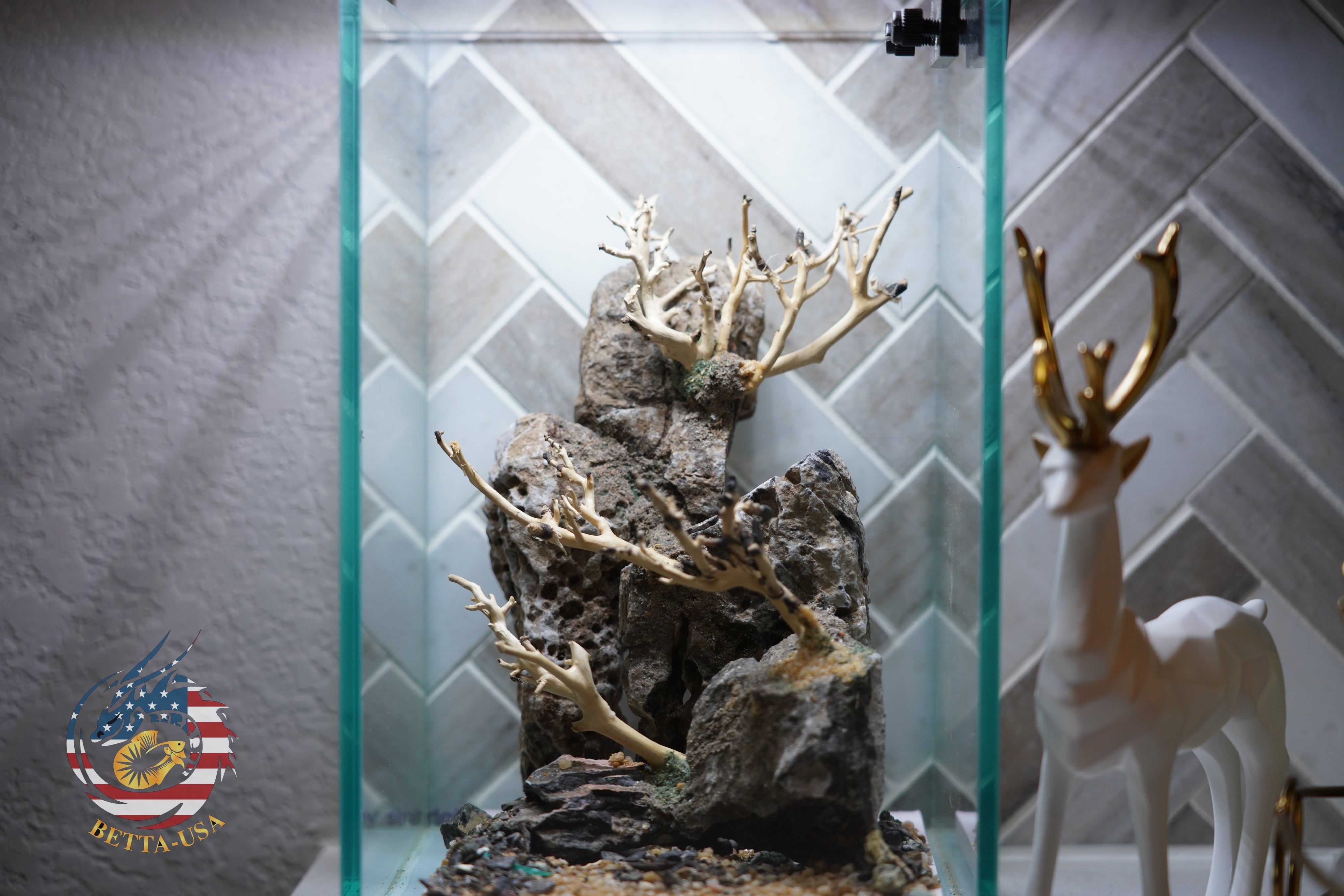 [SCAPE-43] Bonsai On Rock  Nature Aquarium Aquascape– 1.6 Gallons