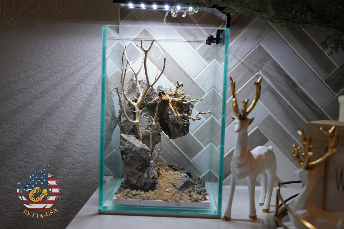 [SCAPE-44] Bonsai On Rock  Nature Aquarium Aquascape– 1.6 Gallons