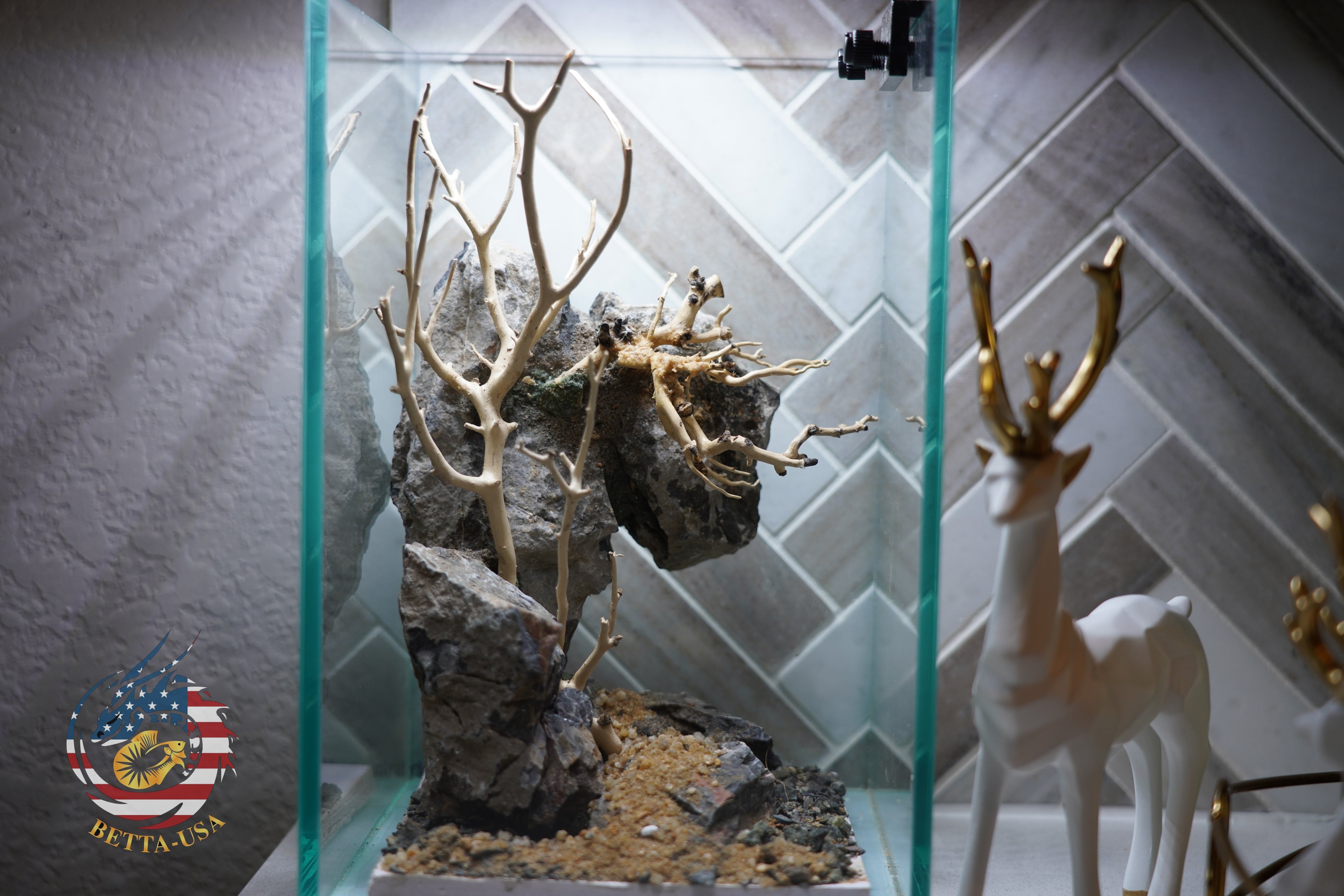 [SCAPE-44] Bonsai On Rock  Nature Aquarium Aquascape– 1.6 Gallons