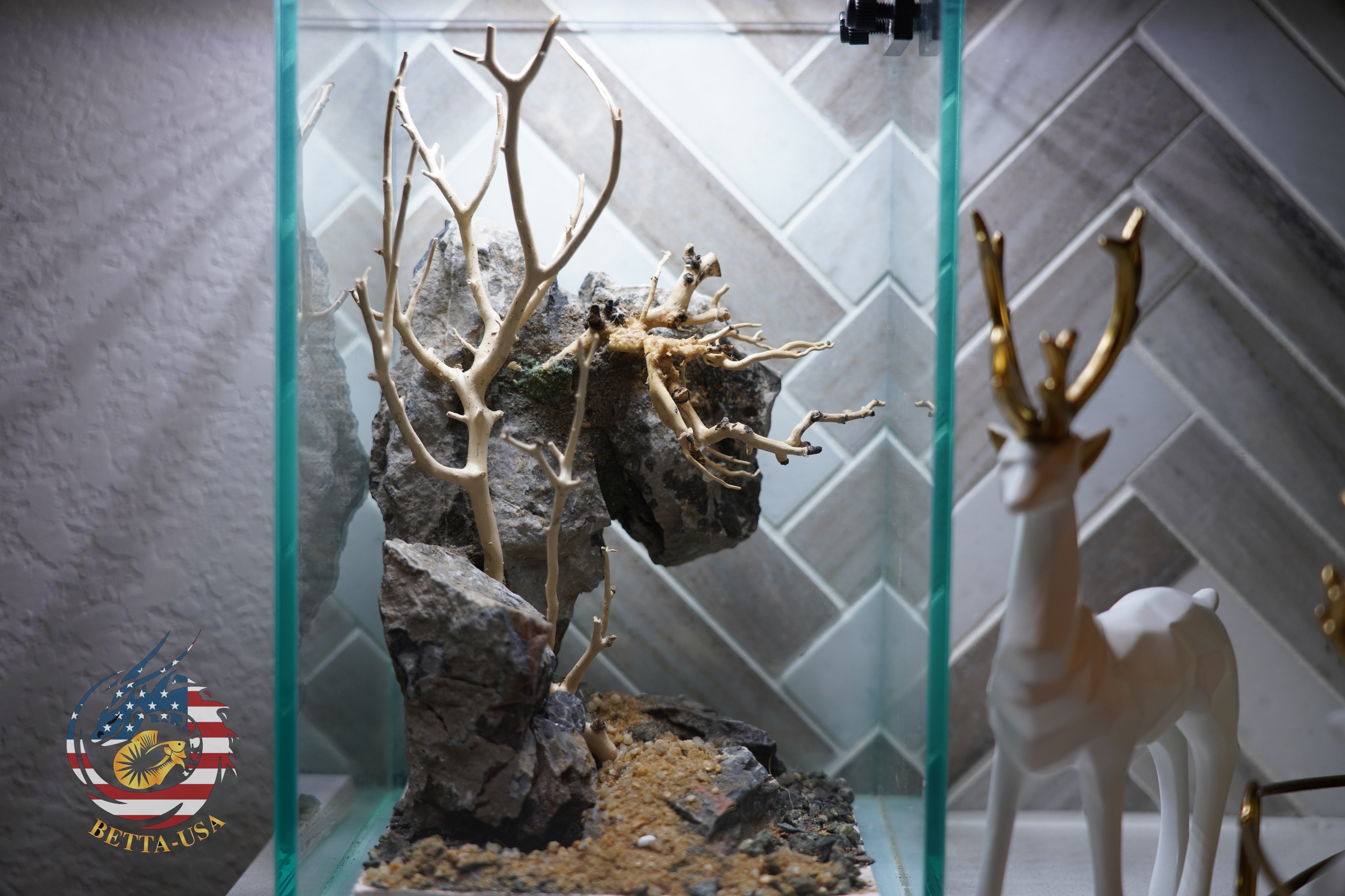 [SCAPE-44] Bonsai On Rock  Nature Aquarium Aquascape– 1.6 Gallons