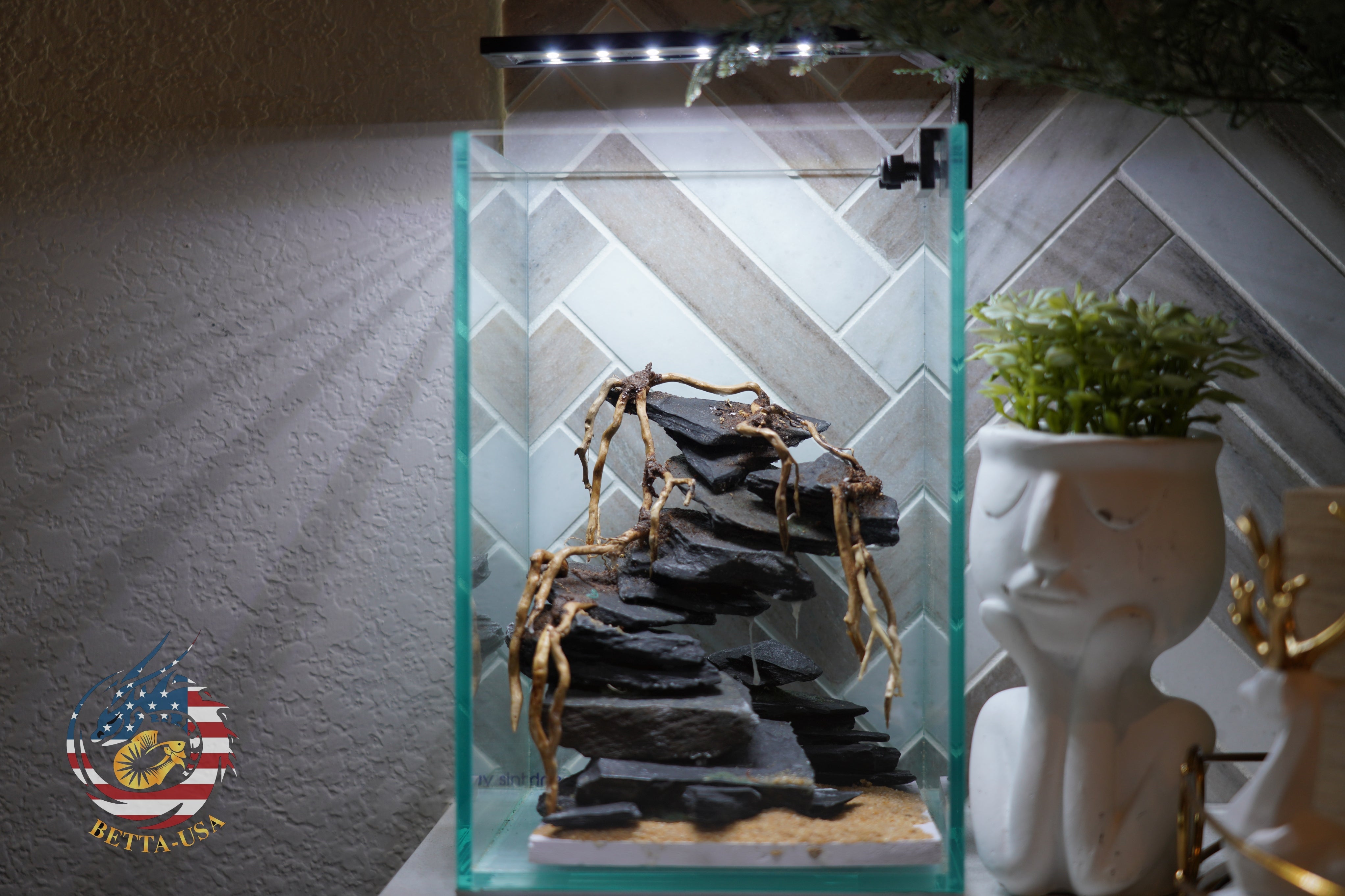 [SCAPE-45] Bonsai On Rock  Nature Aquarium Aquascape– 1.6 Gallons