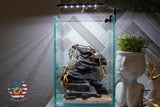 [SCAPE-45] Bonsai On Rock  Nature Aquarium Aquascape– 1.6 Gallons