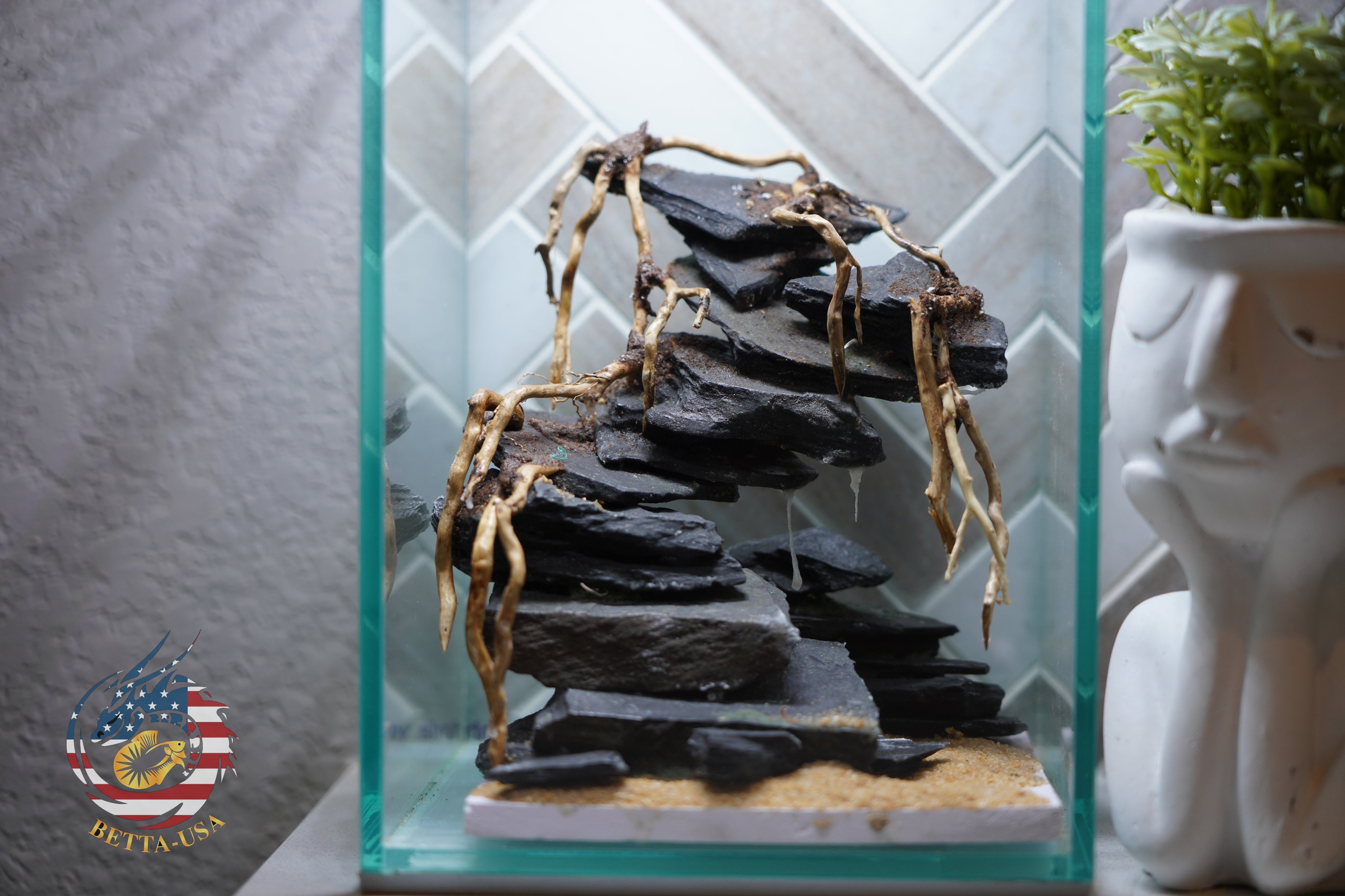 [SCAPE-45] Bonsai On Rock  Nature Aquarium Aquascape– 1.6 Gallons