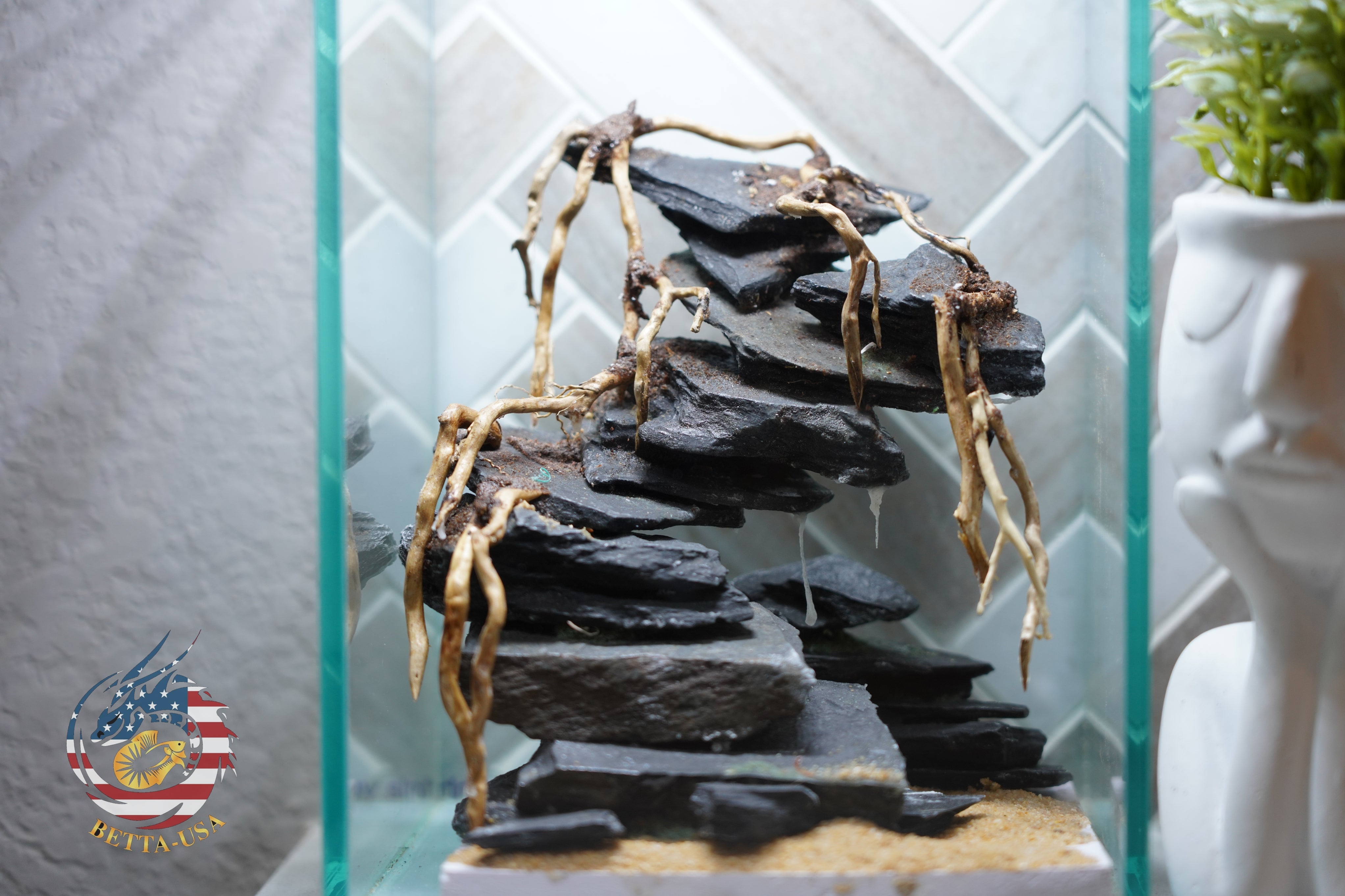 [SCAPE-45] Bonsai On Rock  Nature Aquarium Aquascape– 1.6 Gallons