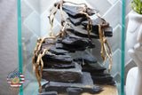 [SCAPE-45] Bonsai On Rock  Nature Aquarium Aquascape– 1.6 Gallons